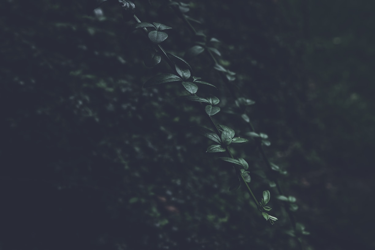 a close-up of some water