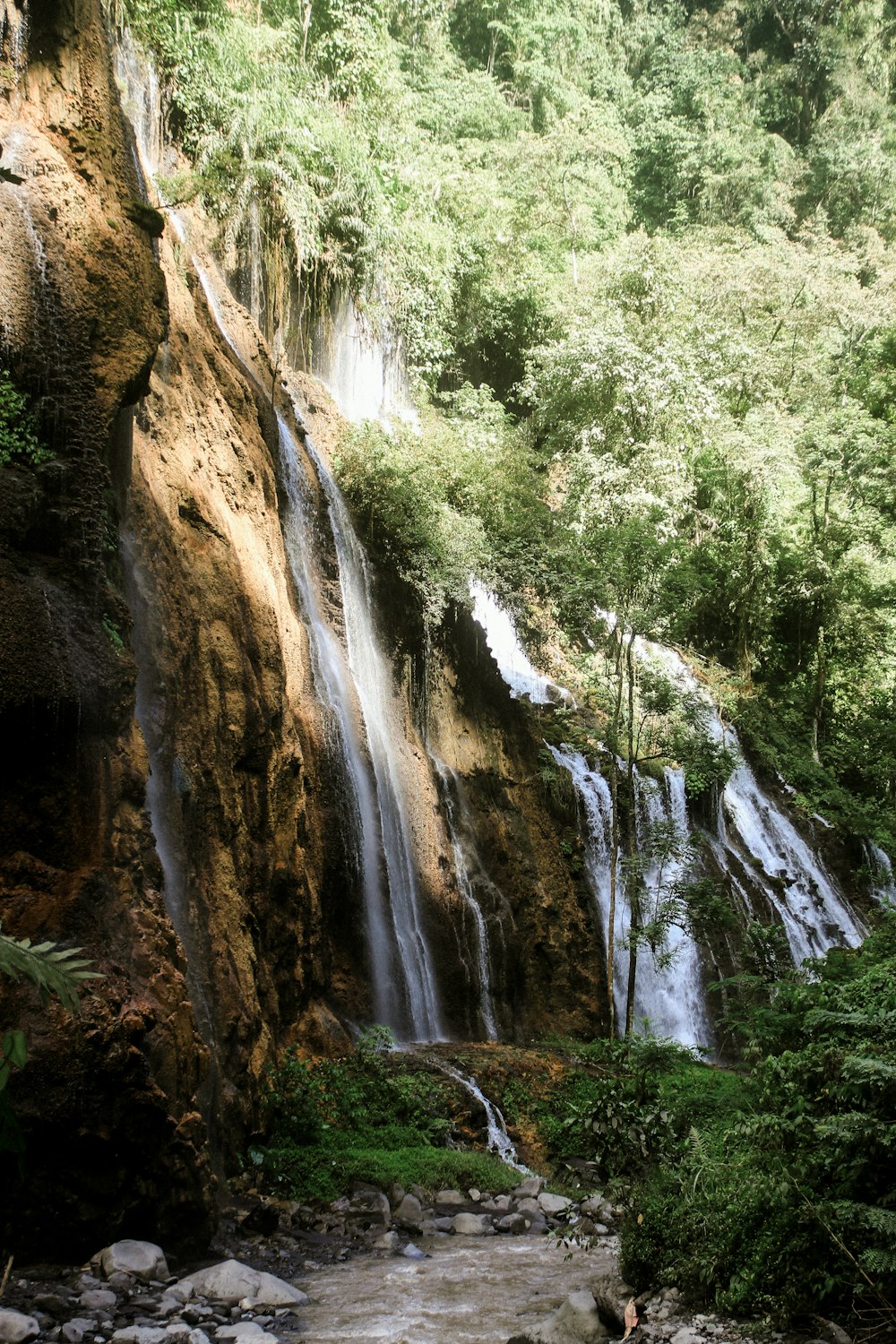 Una cascada en un bosque