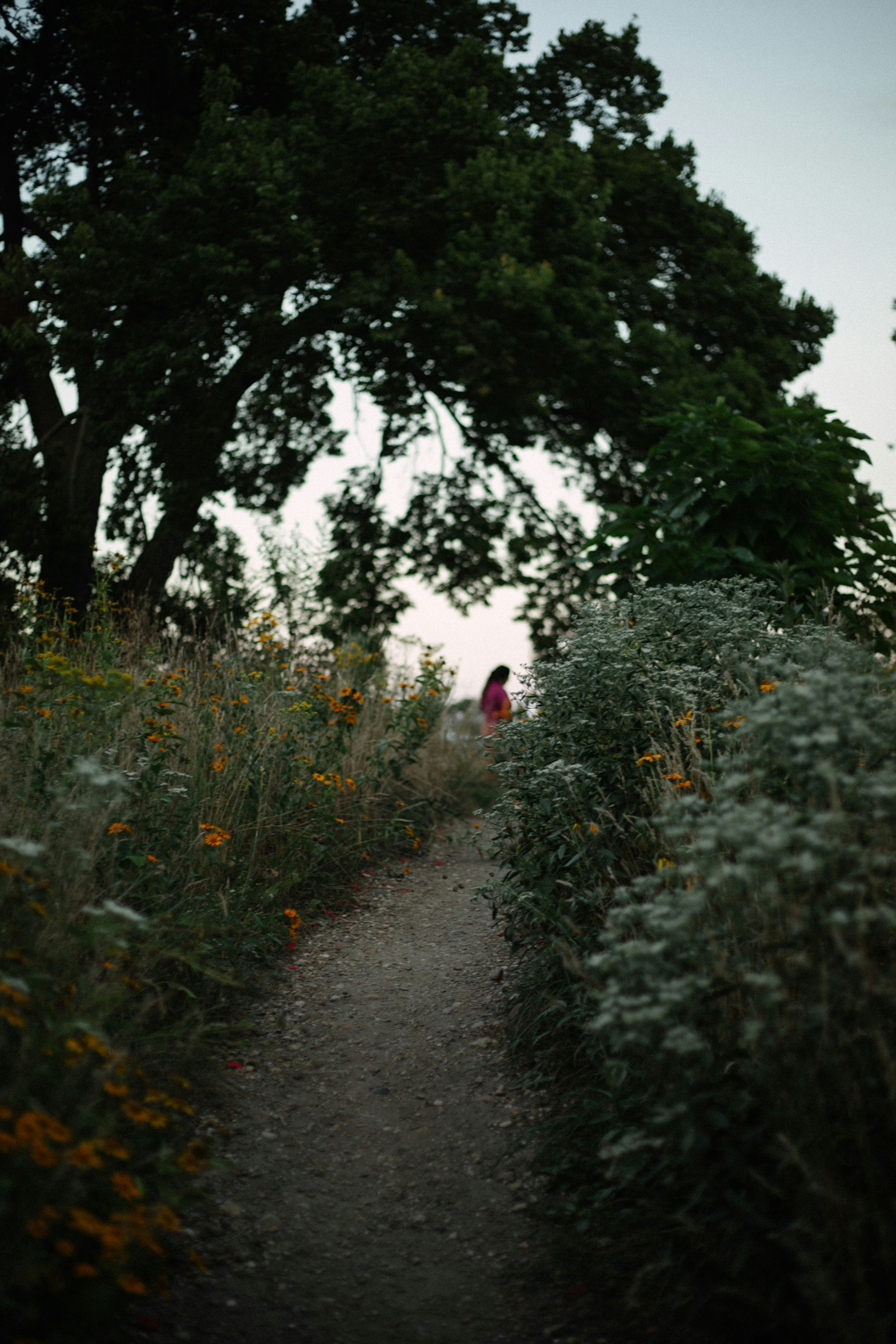 Photo by lizarusalskaya