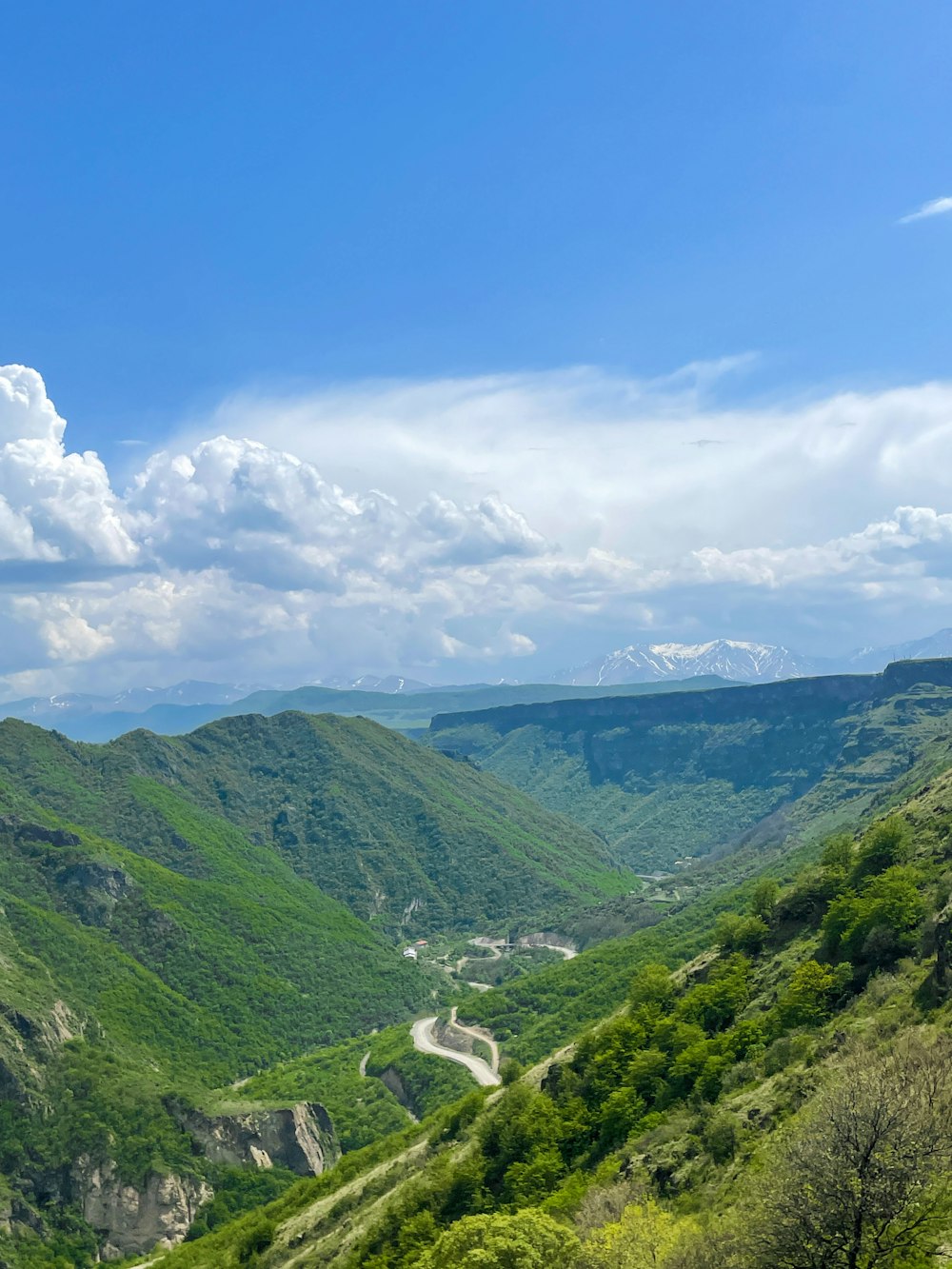 a landscape with hills and trees