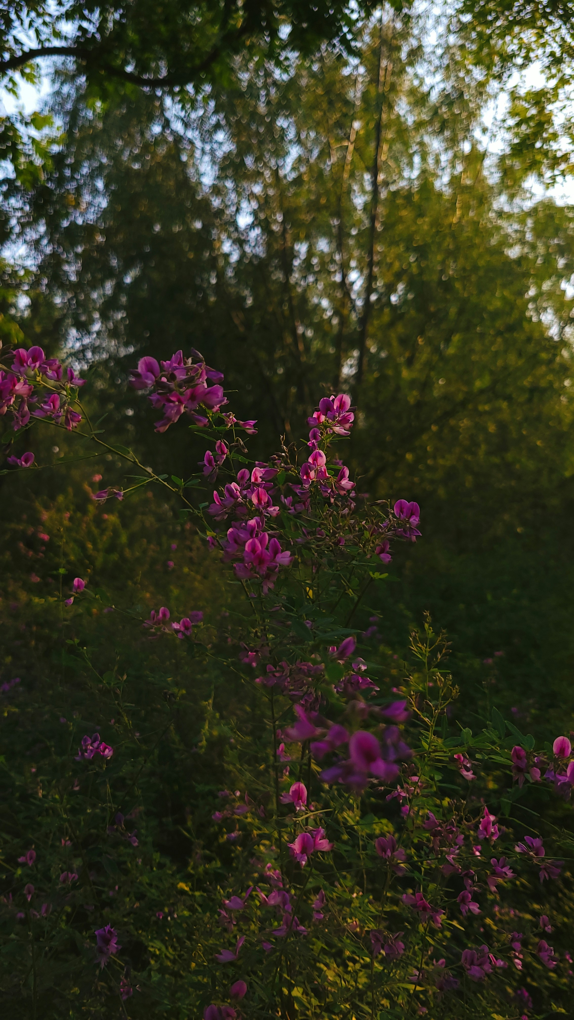 Photo by jasonhl