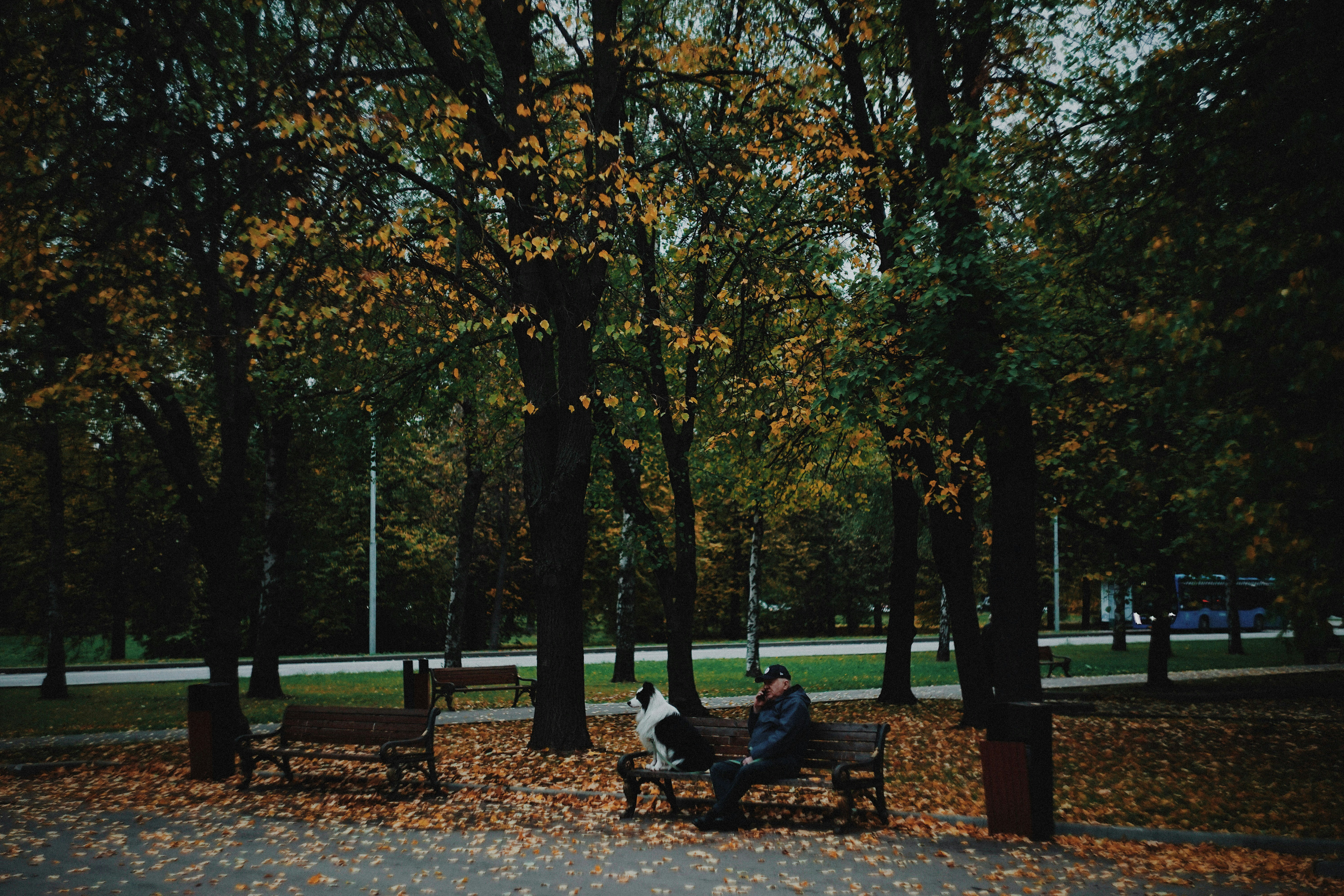 Photo by shklyaevmax