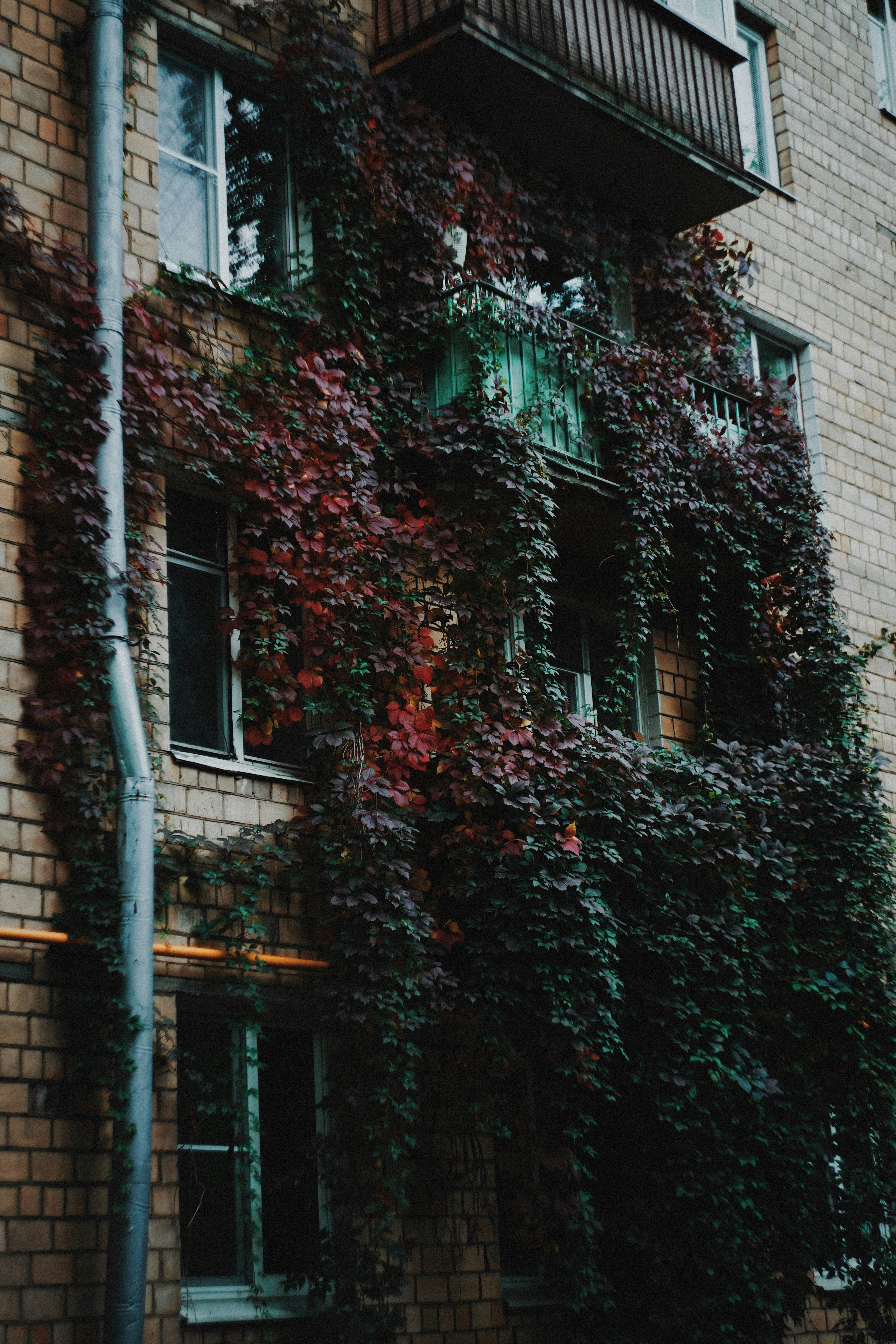 Photo by shklyaevmax