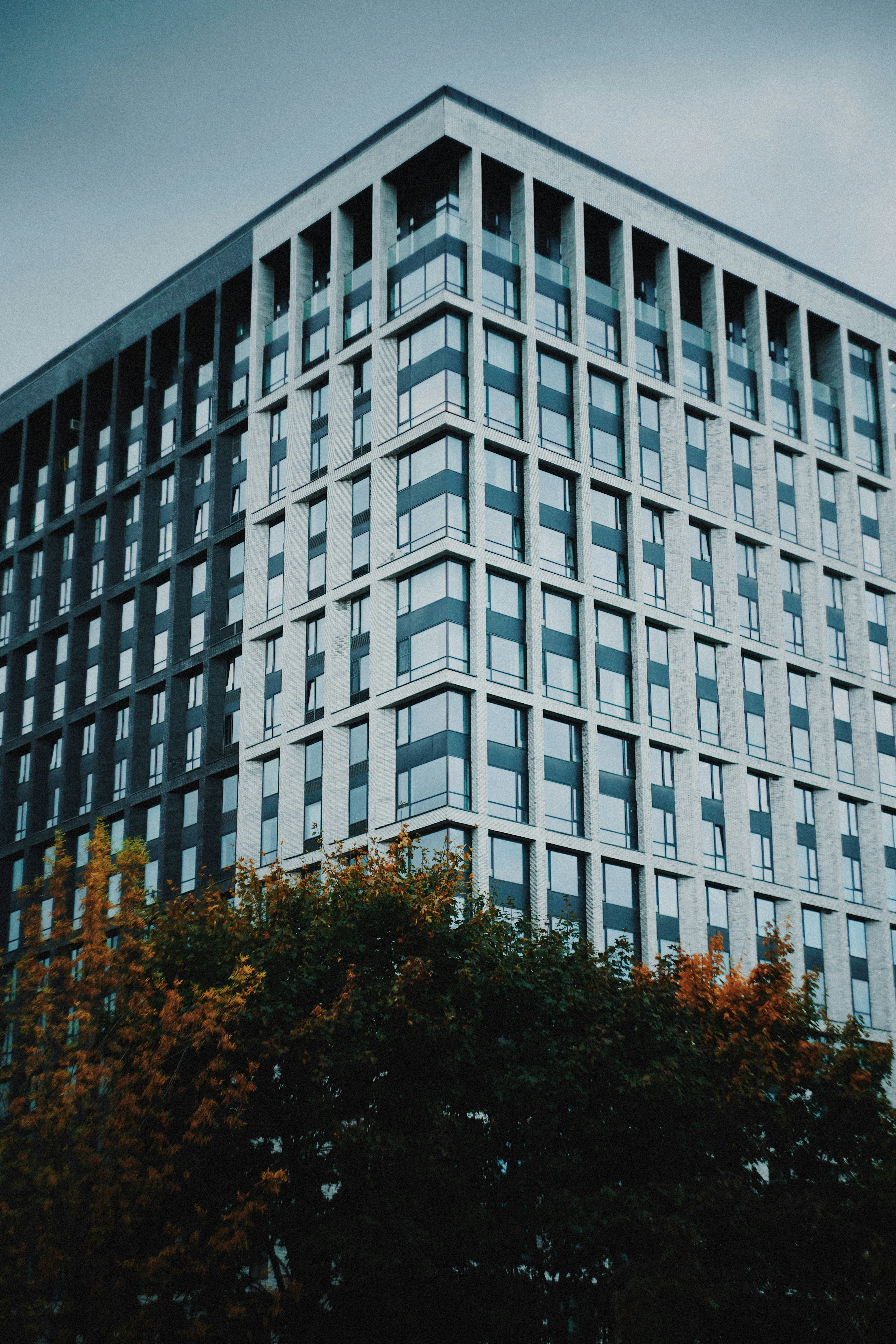 Photo by shklyaevmax