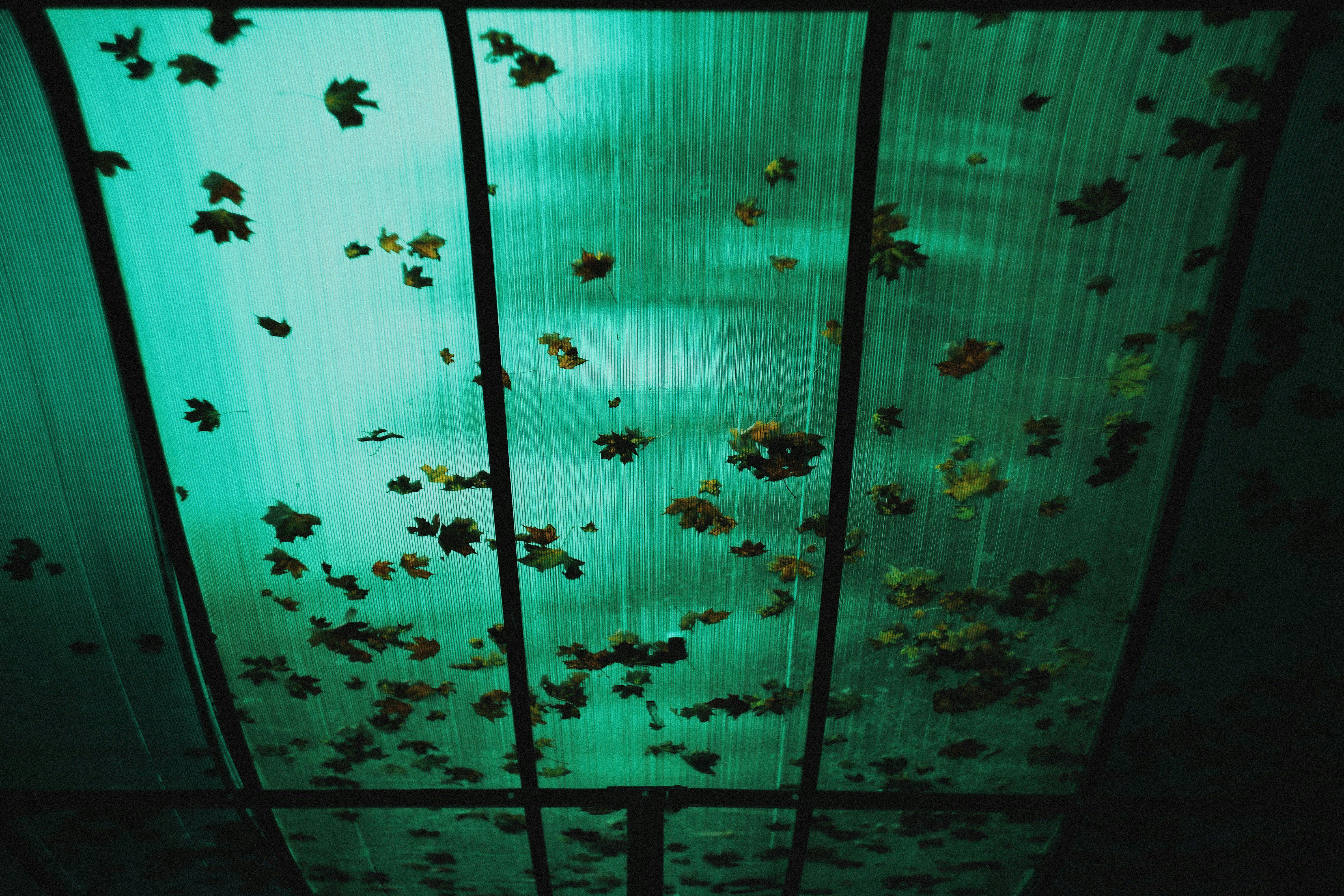 a group of bees on a wall