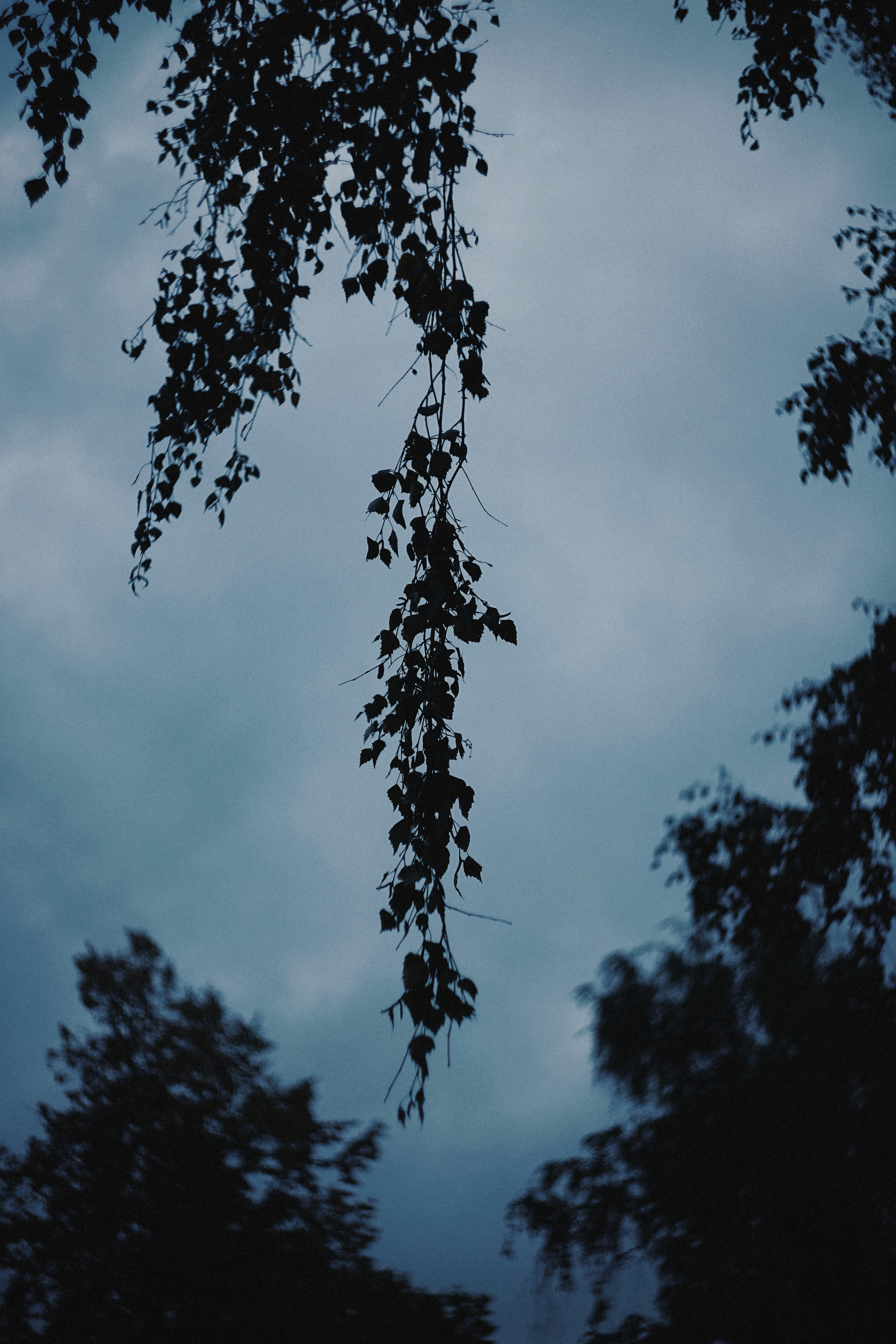 Photo by shklyaevmax
