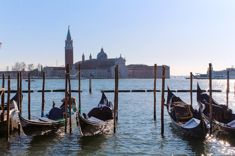 boats in the water