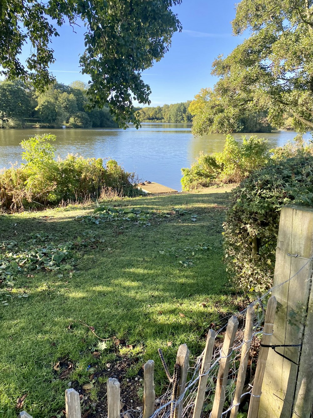 a body of water with grass and trees around it