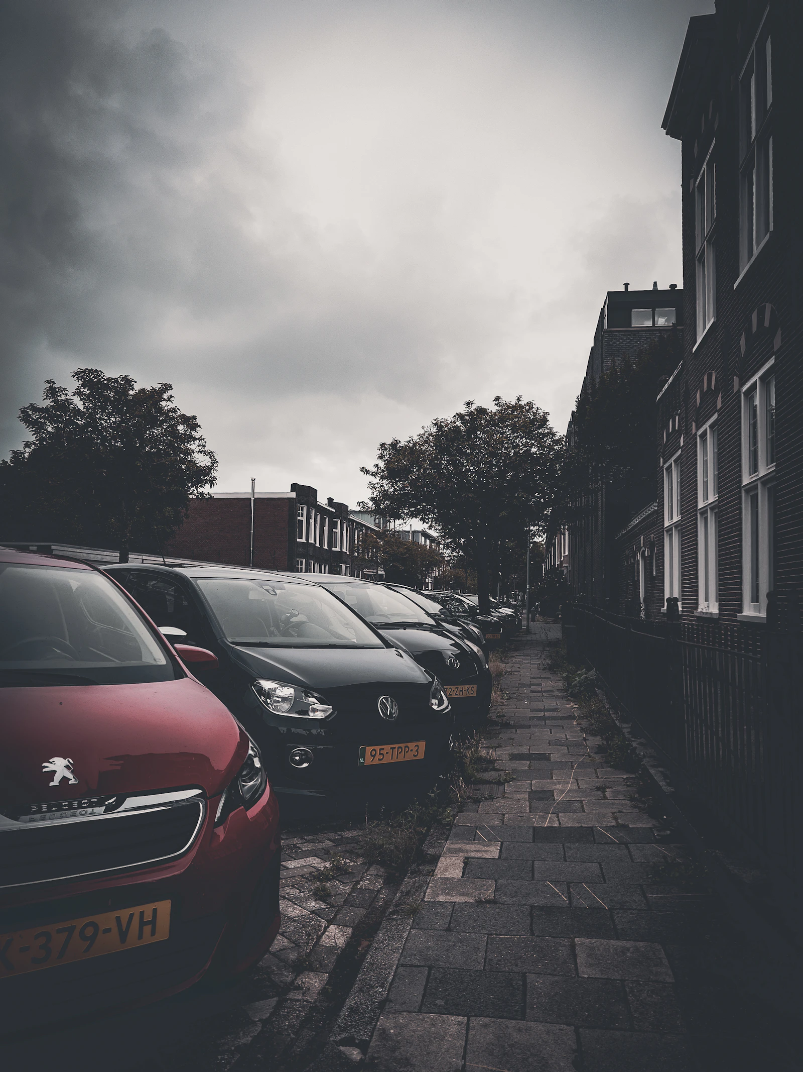 Cars parked along a residential street in the Netherlands