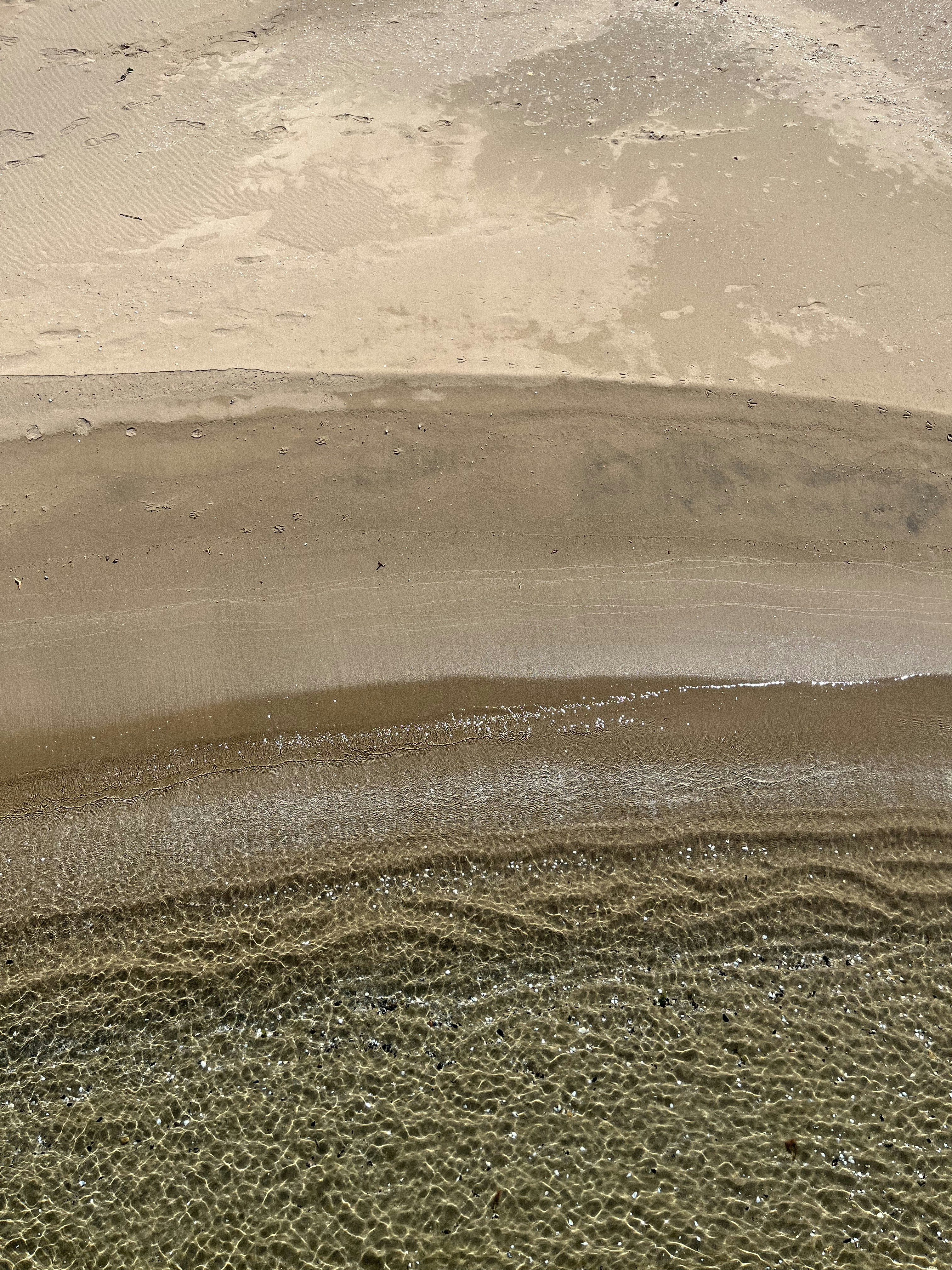 Photo by dipsysselection