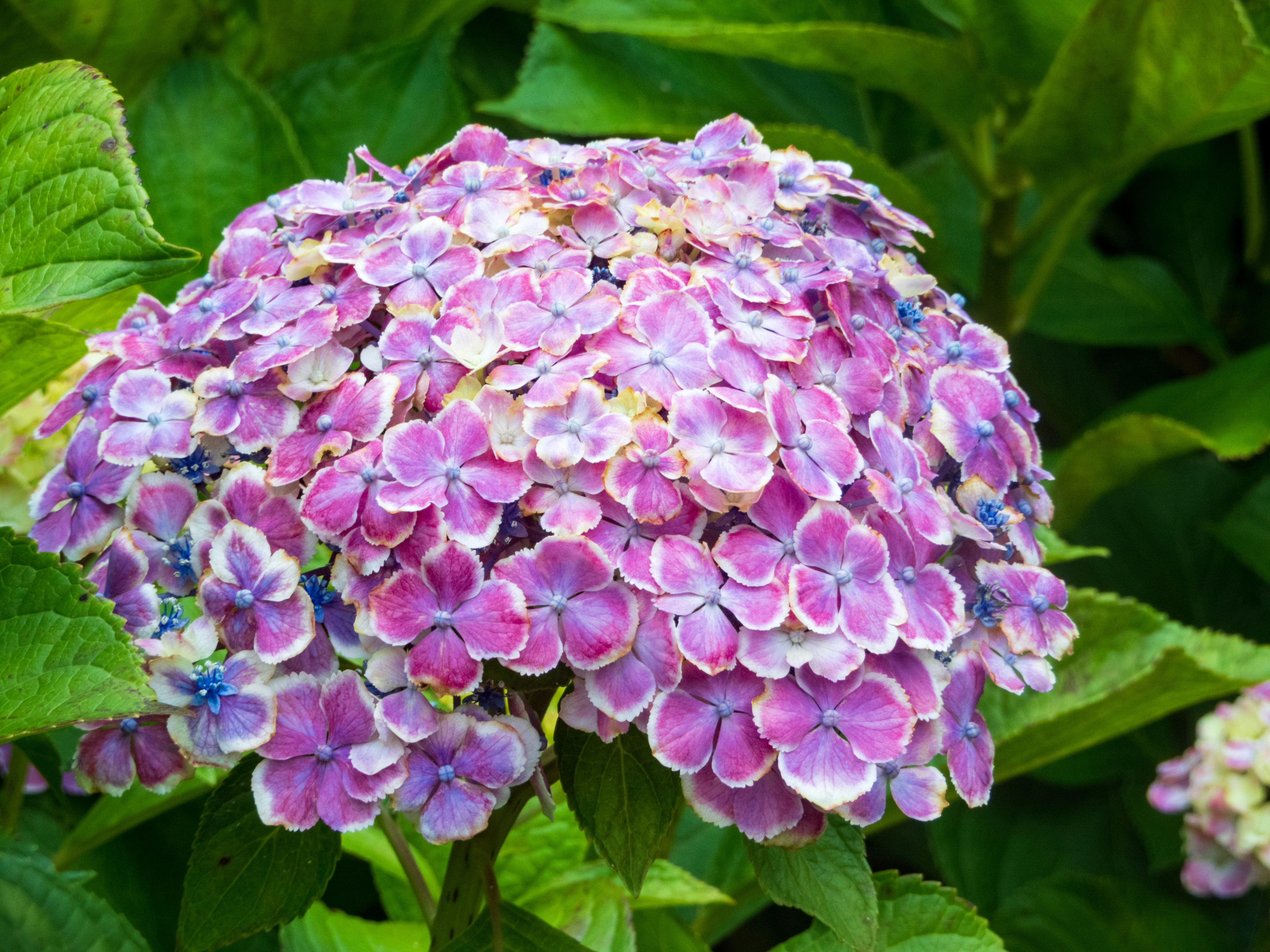 Photo by heppoko_yama