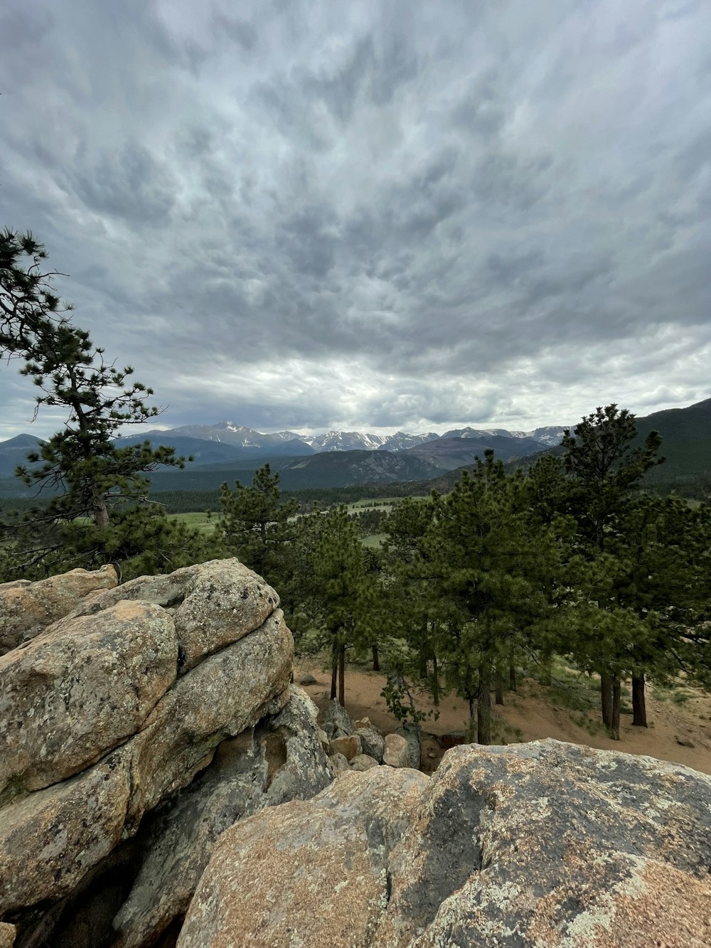 a rocky area with trees and mountains in the background