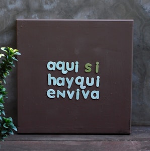 A brown canvas with text in soft green and turquoise colors reading 'aqui si hayqui enviva', placed against a gray wall. A small green plant is positioned on the left side.