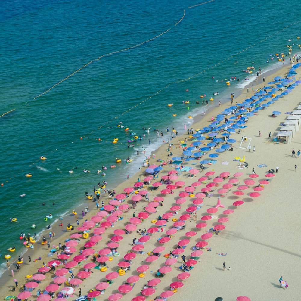 a beach with many people on it