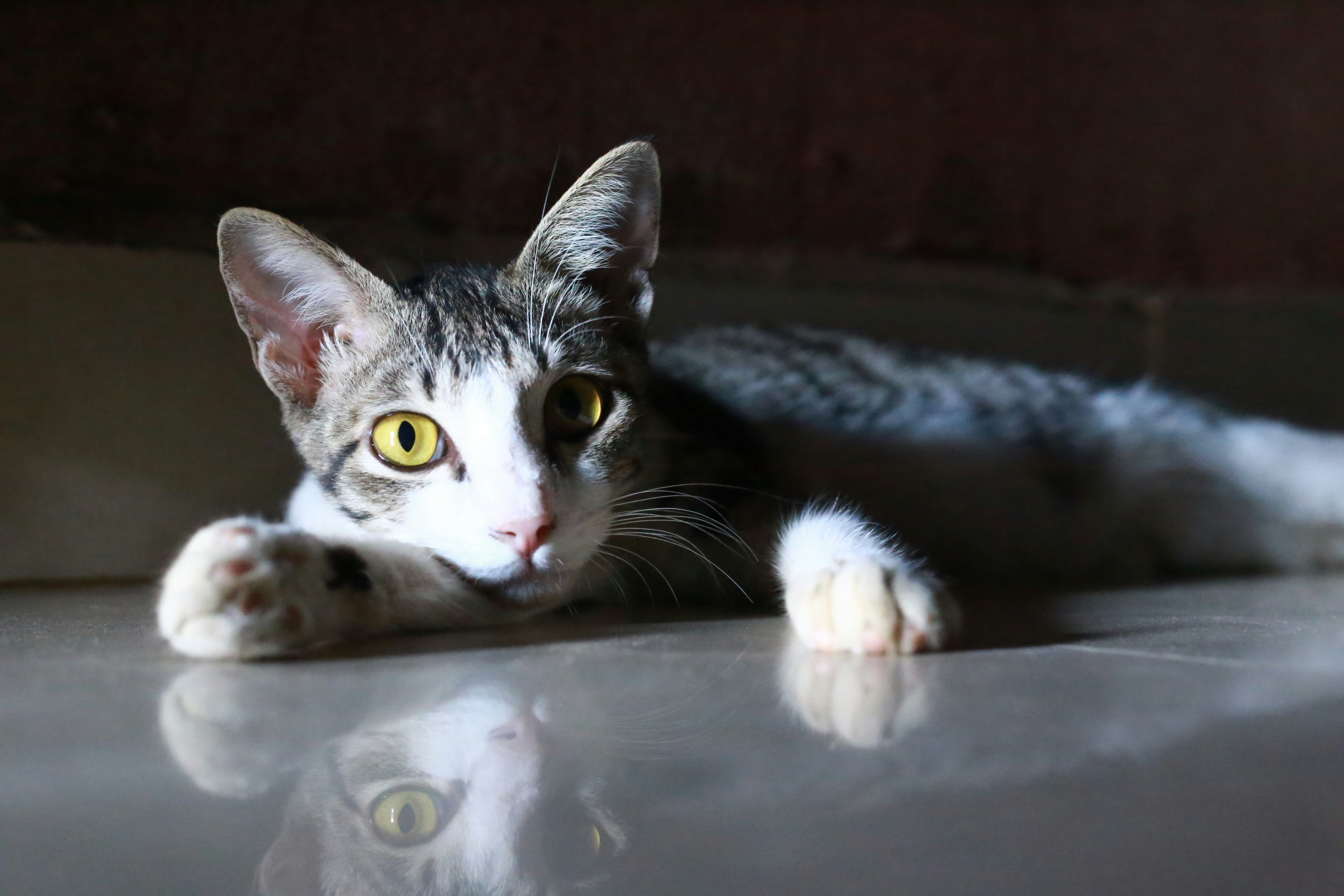 Photo by cloud33__09