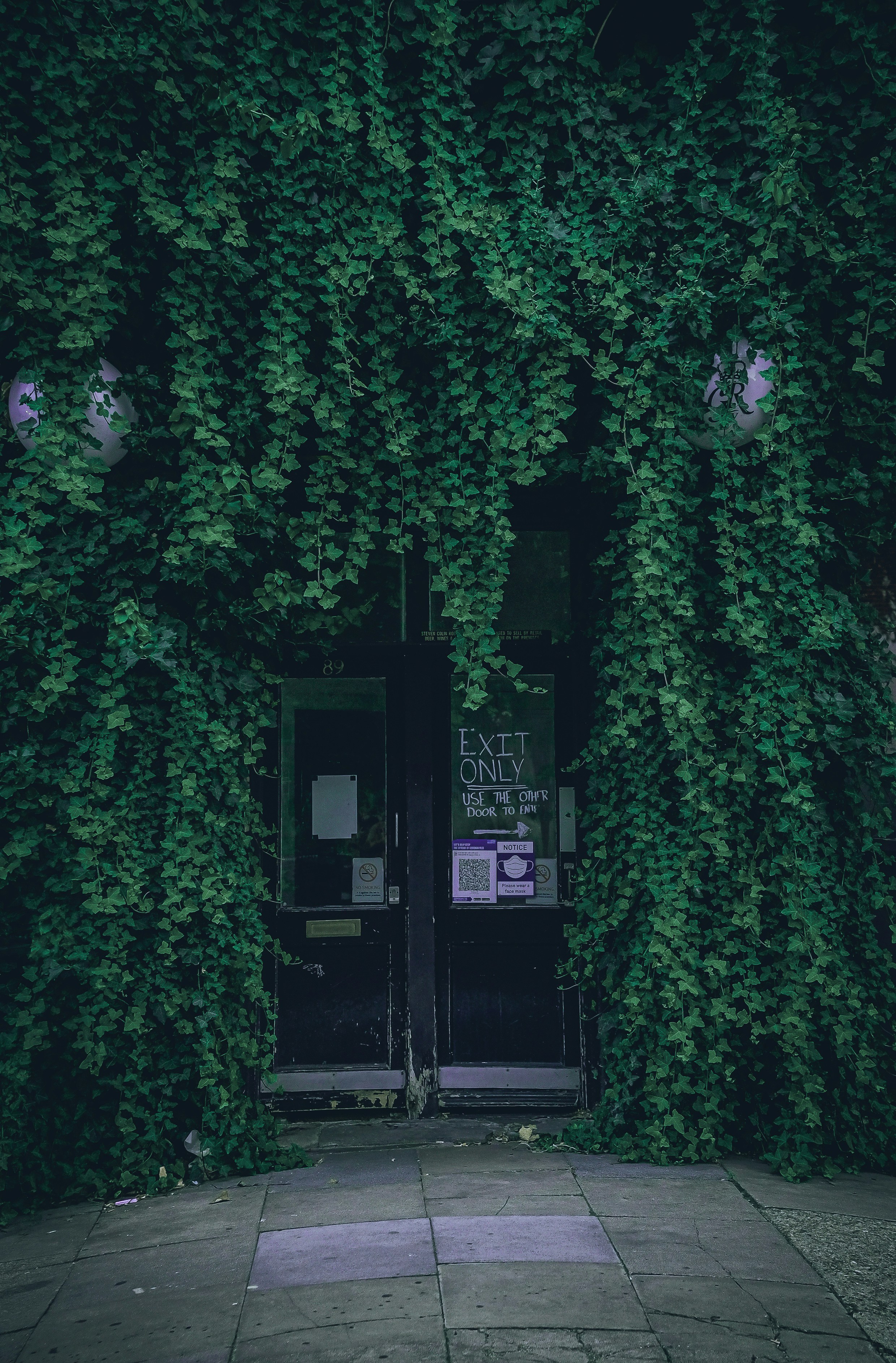 Photo by kuriwood