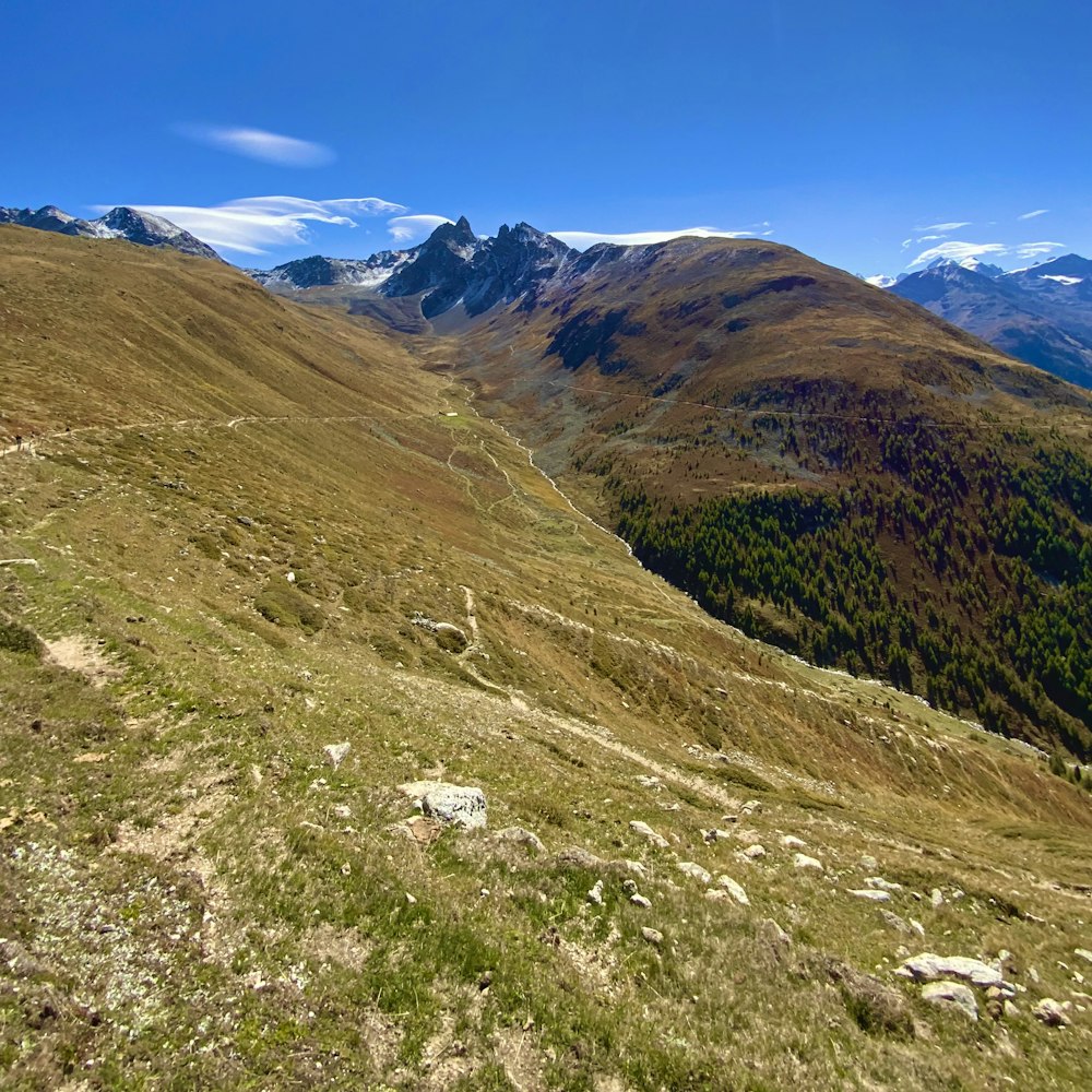 a grassy hill with mountains in the background