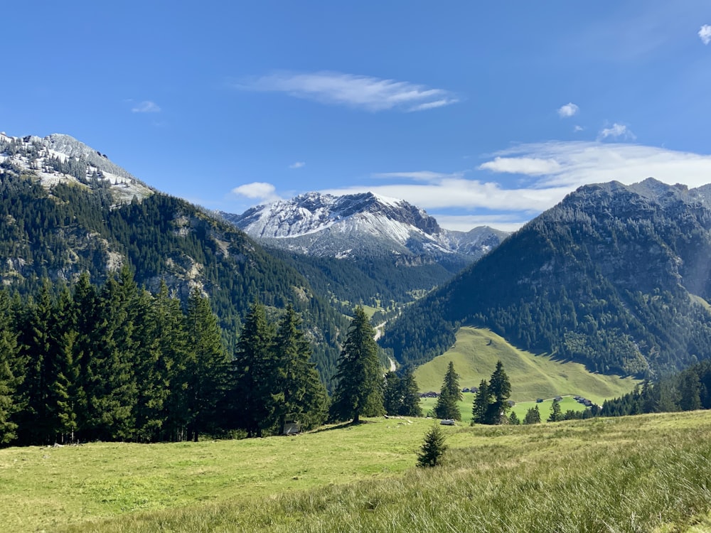 a grassy field with trees and mountains in the background