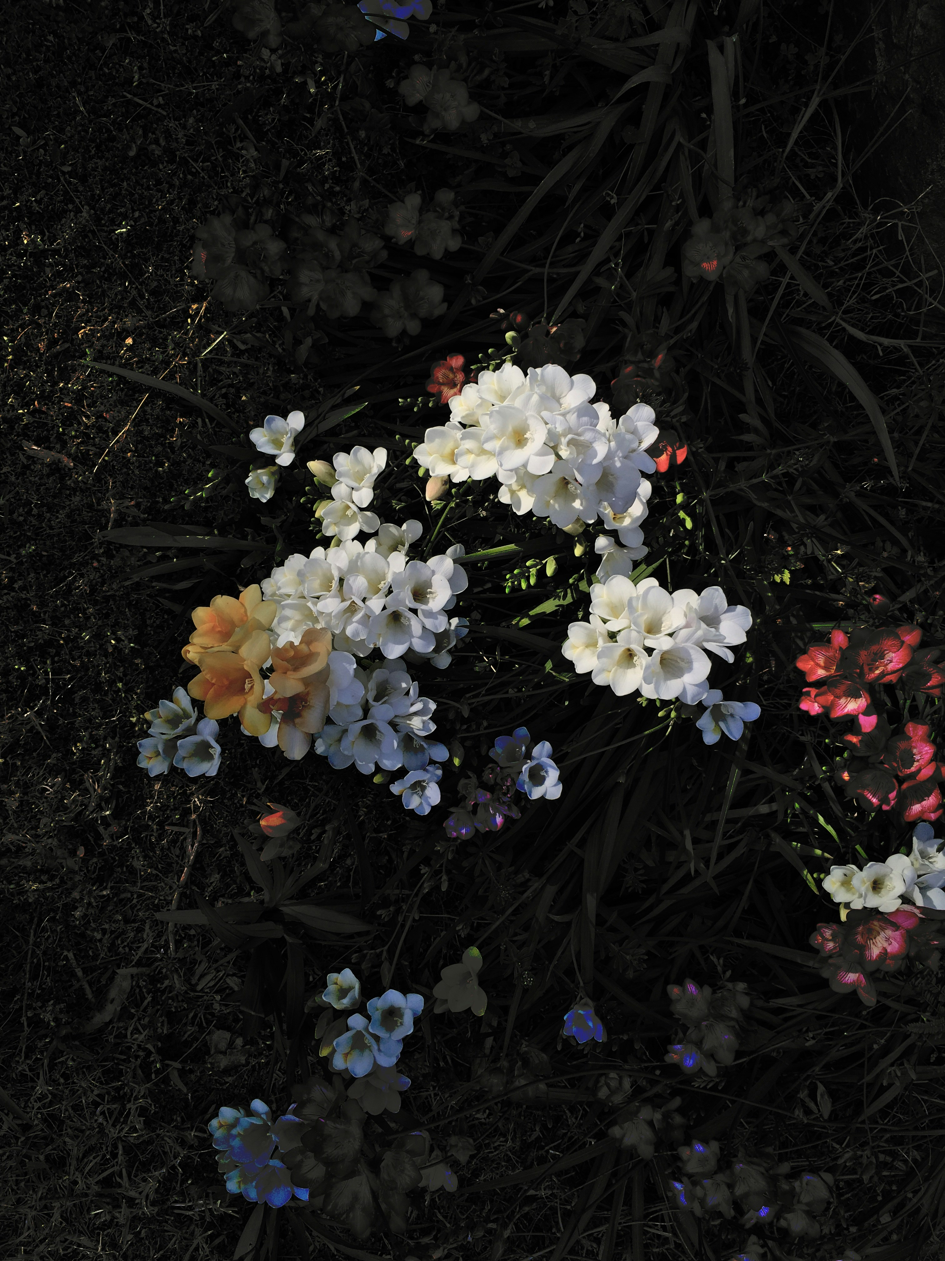 Photo by matthewstaples