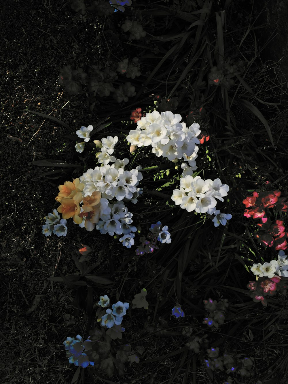 um arbusto de flores
