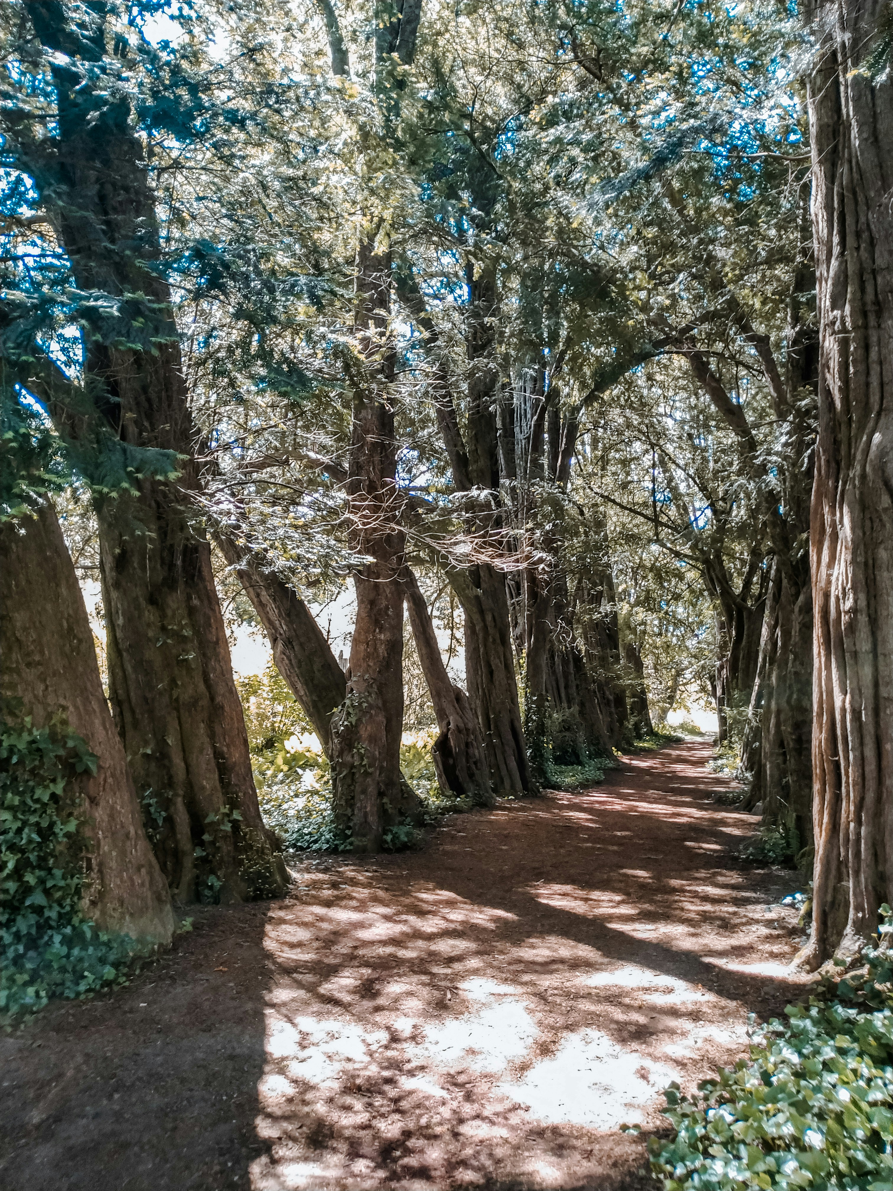 Photo by veronica_rb