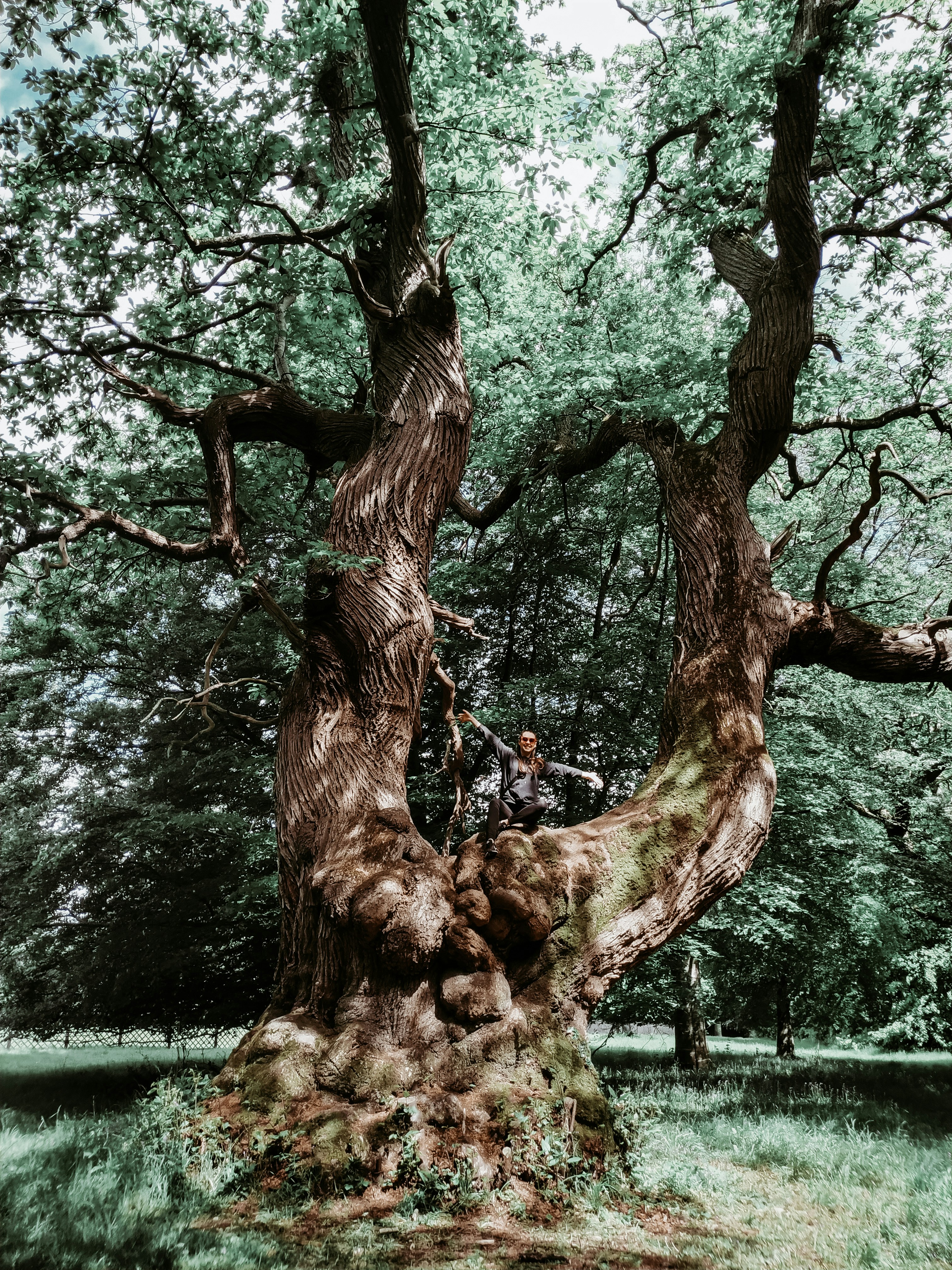 Photo by veronica_rb