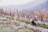 Cyclist pausing on a vineyard trail with rolling hills and grapevines stretching into the distance.