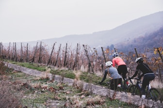 Sunlit vineyard landscape with cyclists enjoying the route