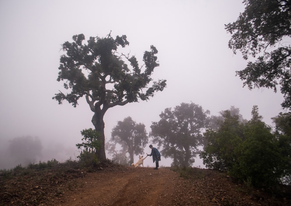 a man and a woman walking on a dirt path with trees on either side of it