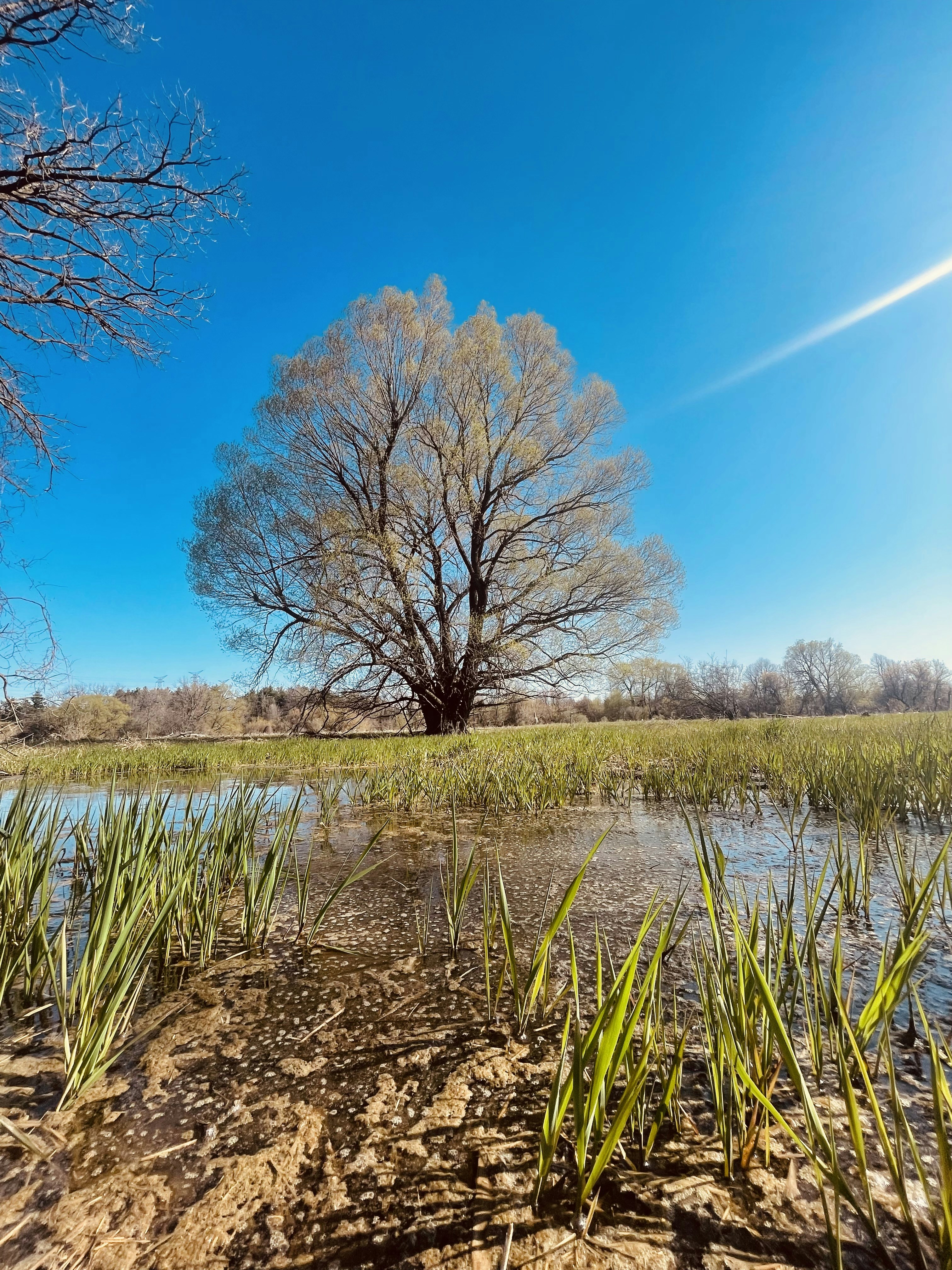 Photo by theamanpreet