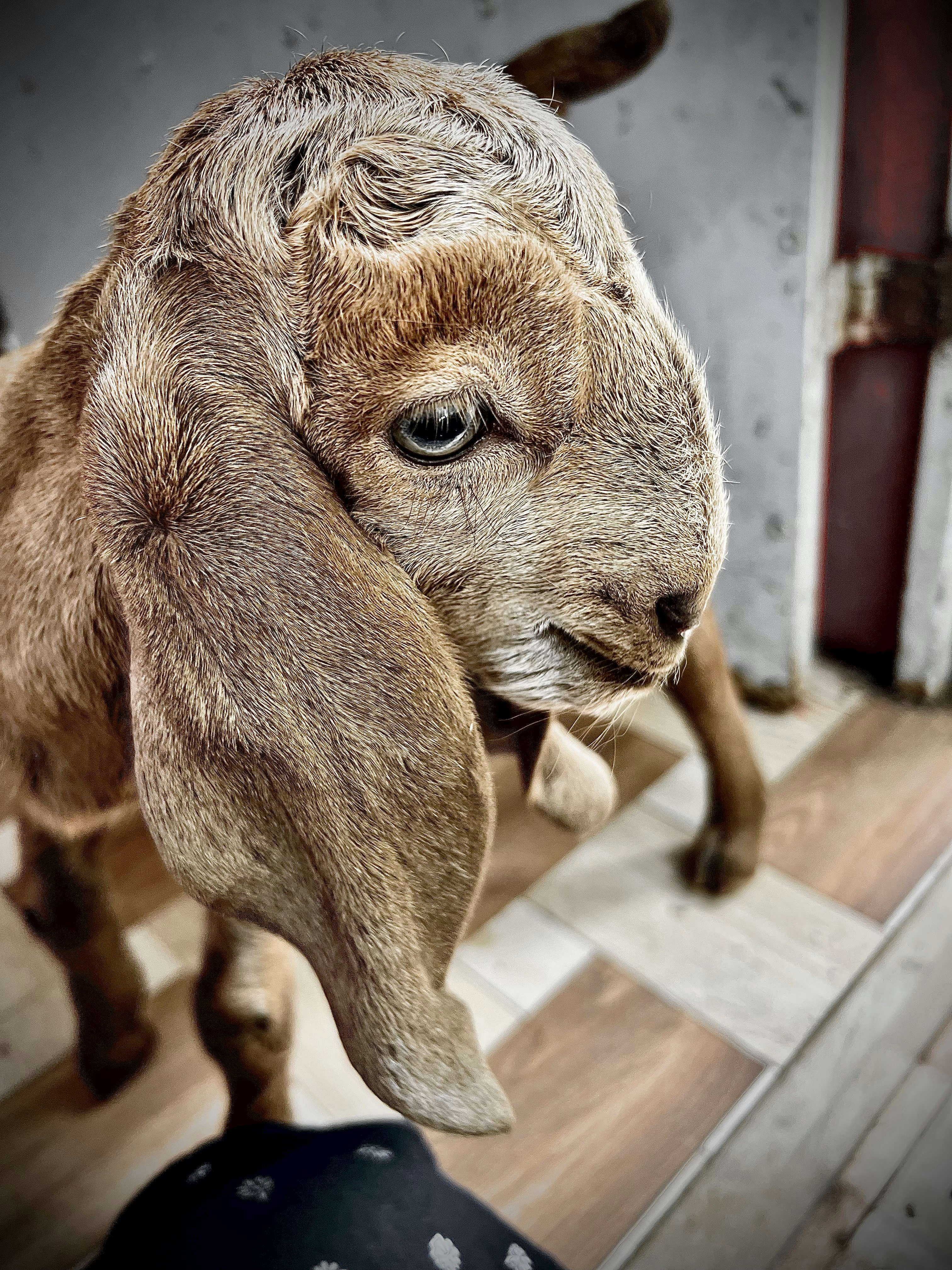 Photo by diananikil1