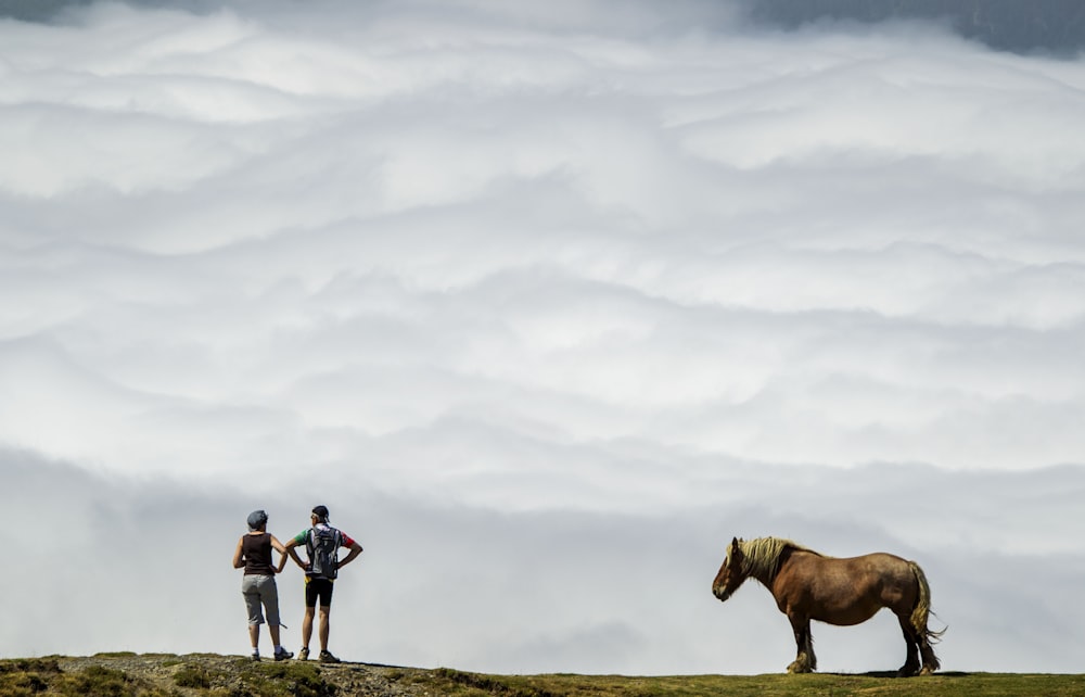 a couple of people stand near a horse