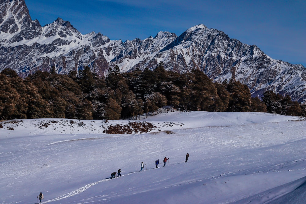 a group of people skiing on the snow