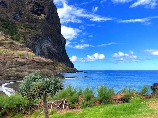 3-Day Madeira Family Itinerary: Relaxed & Accessible