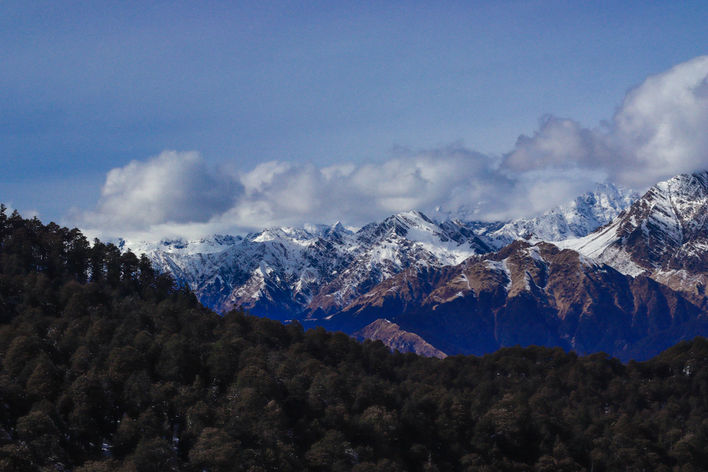 Auli