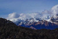 Best Chaat Places in Auli: Street Food Stops Every Local Knows