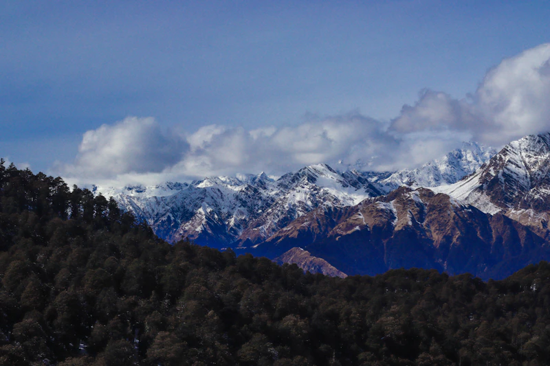 Best Chaat Places in Auli: Street Food Stops Every Local Knows