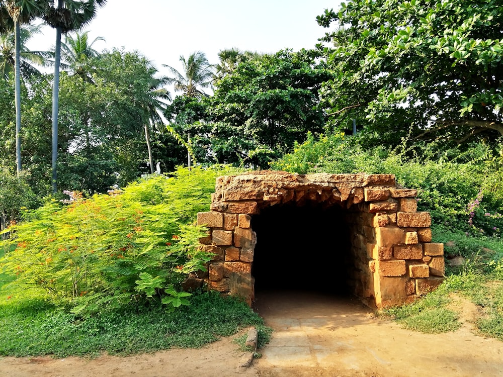 Un tunnel de pierre dans une forêt