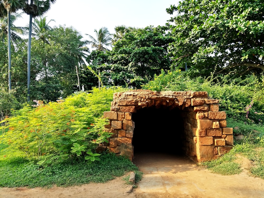 a stone tunnel in a forest