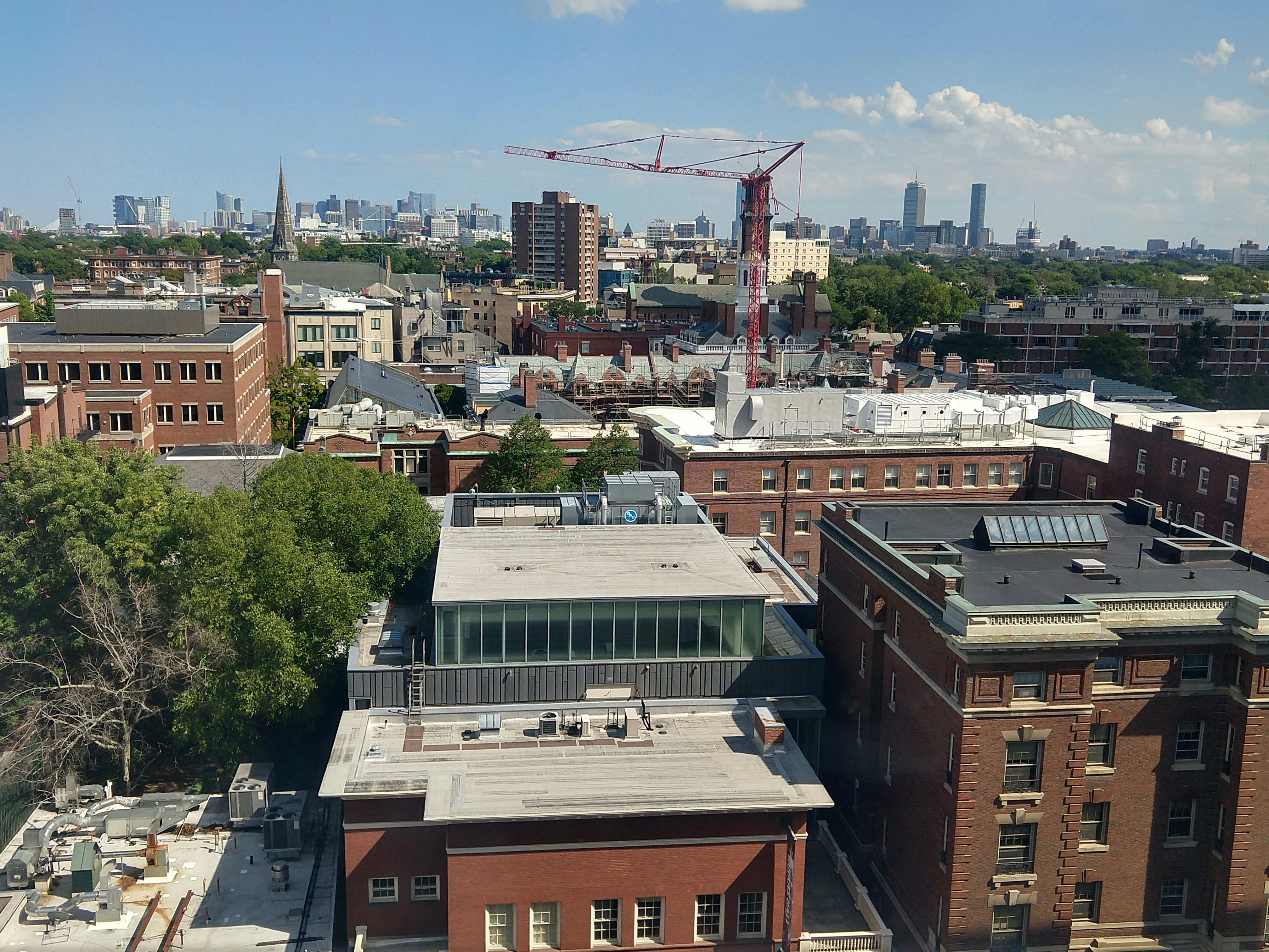 Photo by garnicanetwork