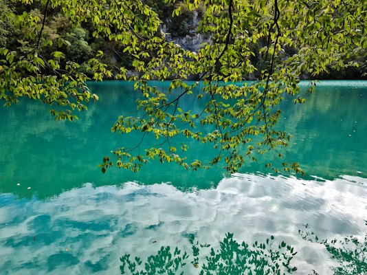 A body of water with trees around it — Plitvice Lakes, Croatia