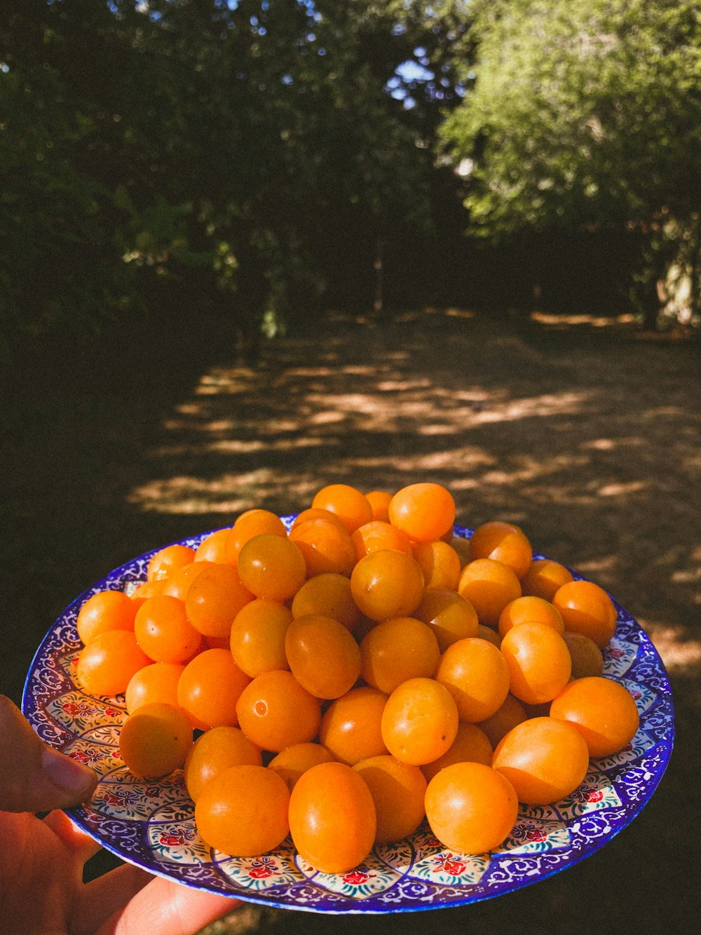 a person holding a bunch of oranges