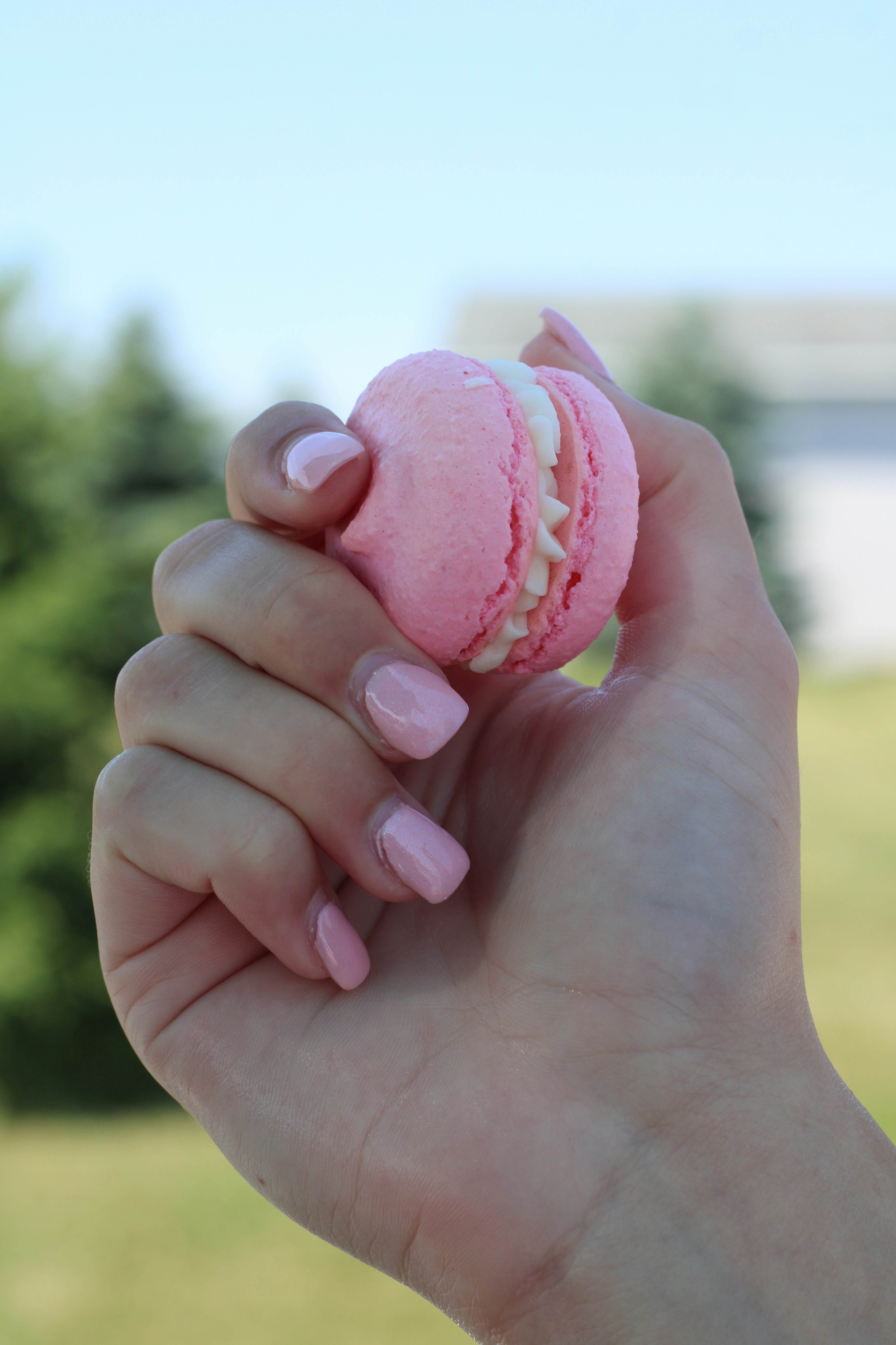 a person holding a heart shaped object