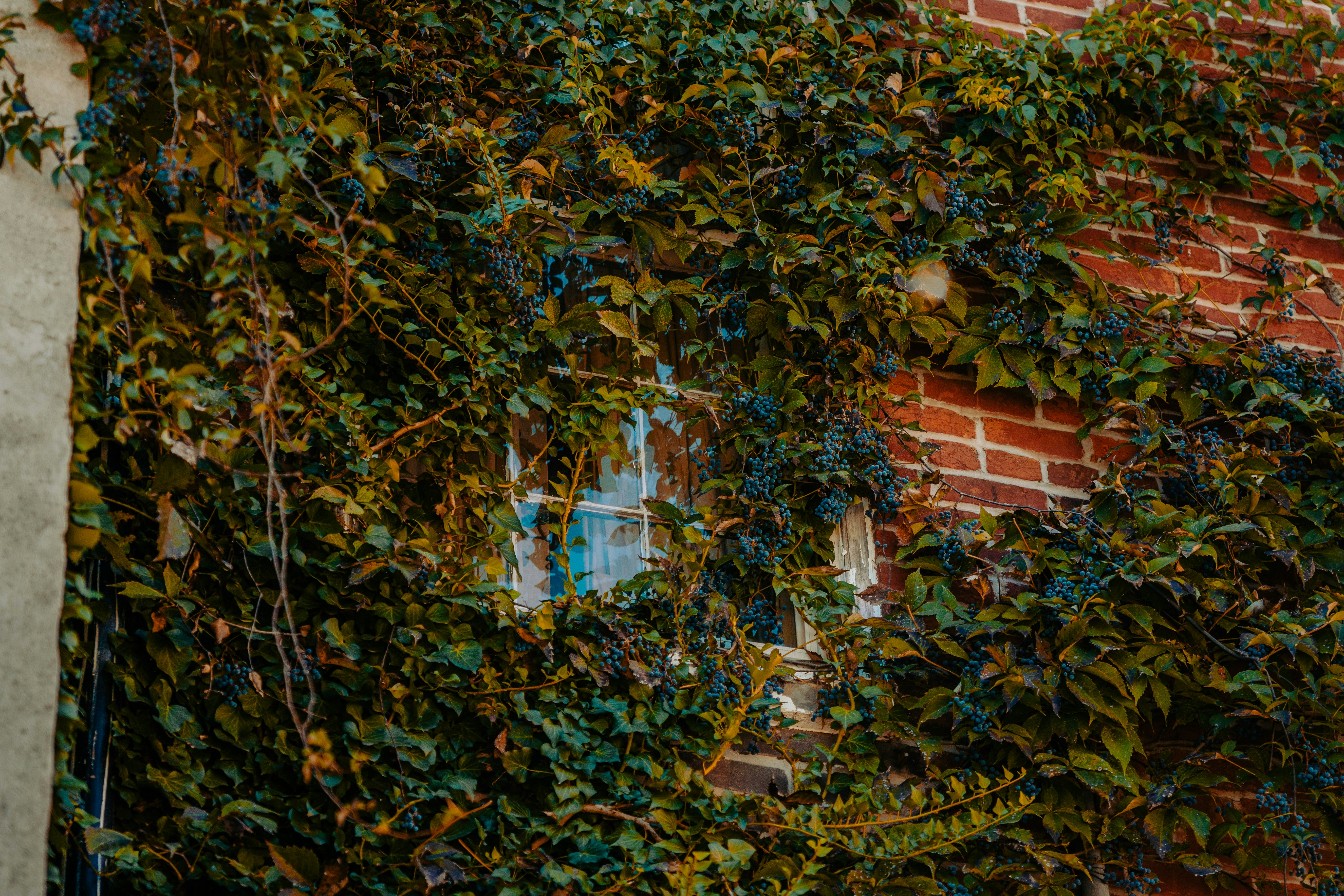 Photo by colemangloverphotography