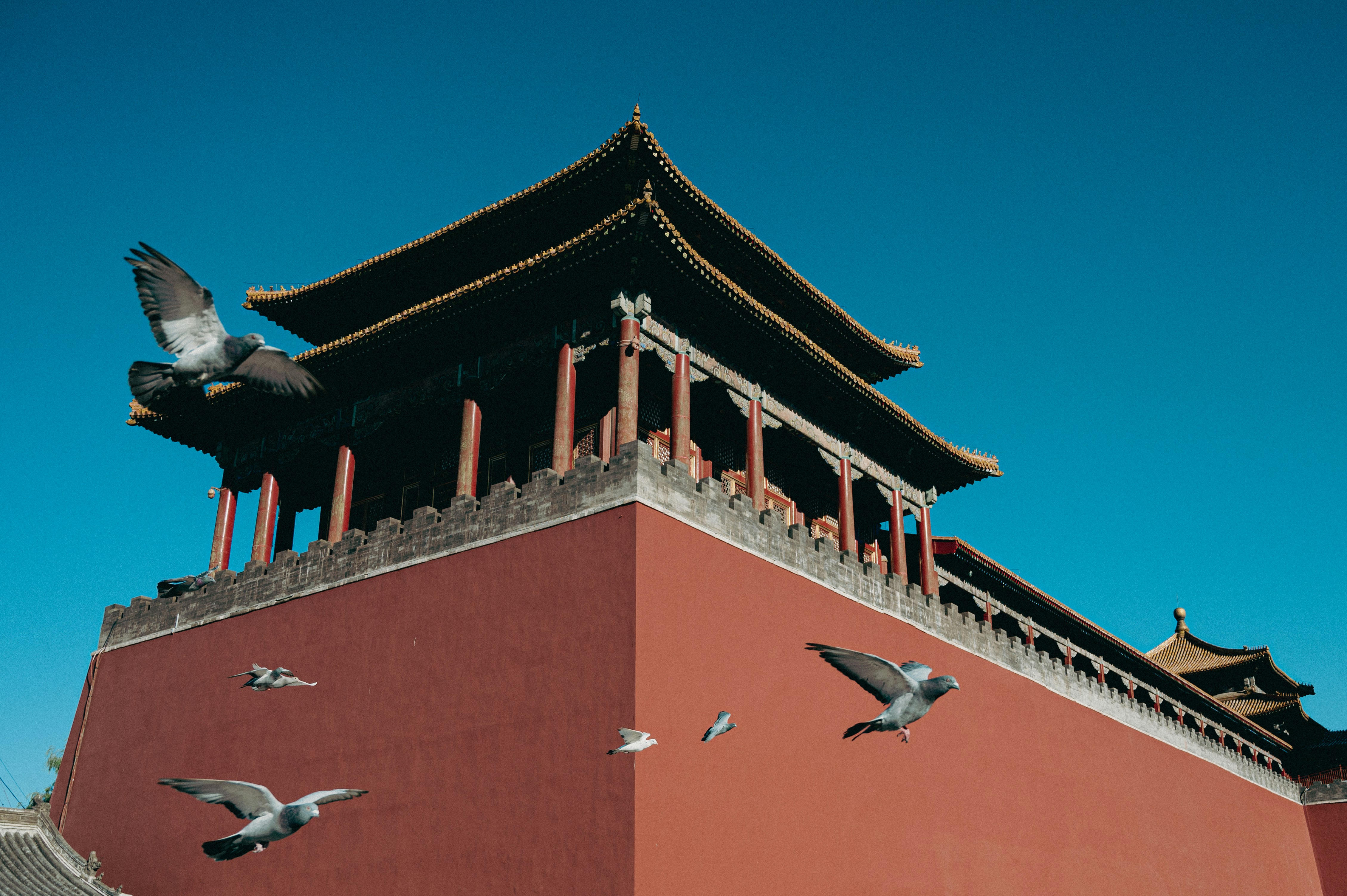 Photo by peek_a_boo_who