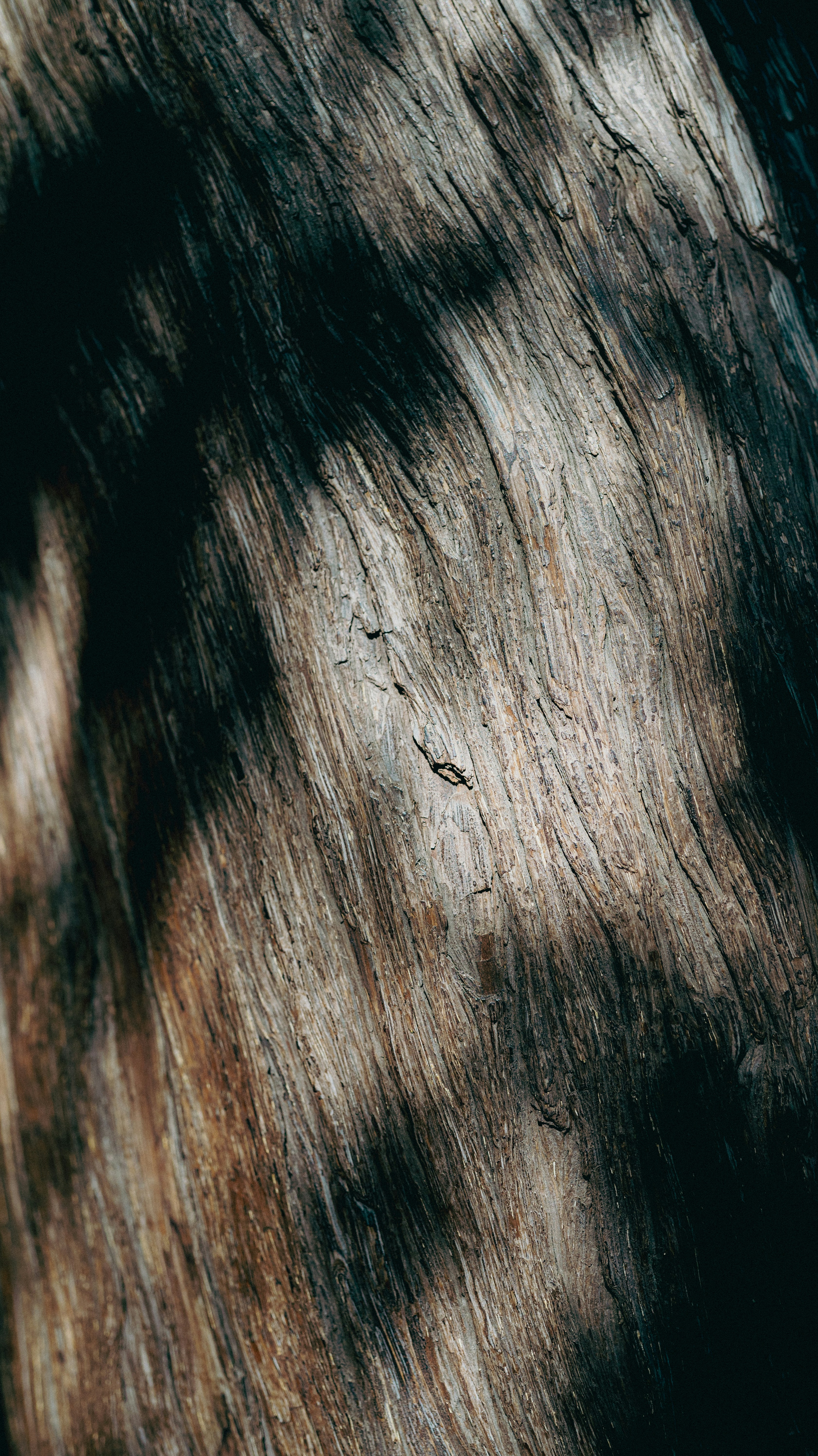 Photo by peek_a_boo_who