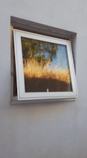 a framed painting on a wall