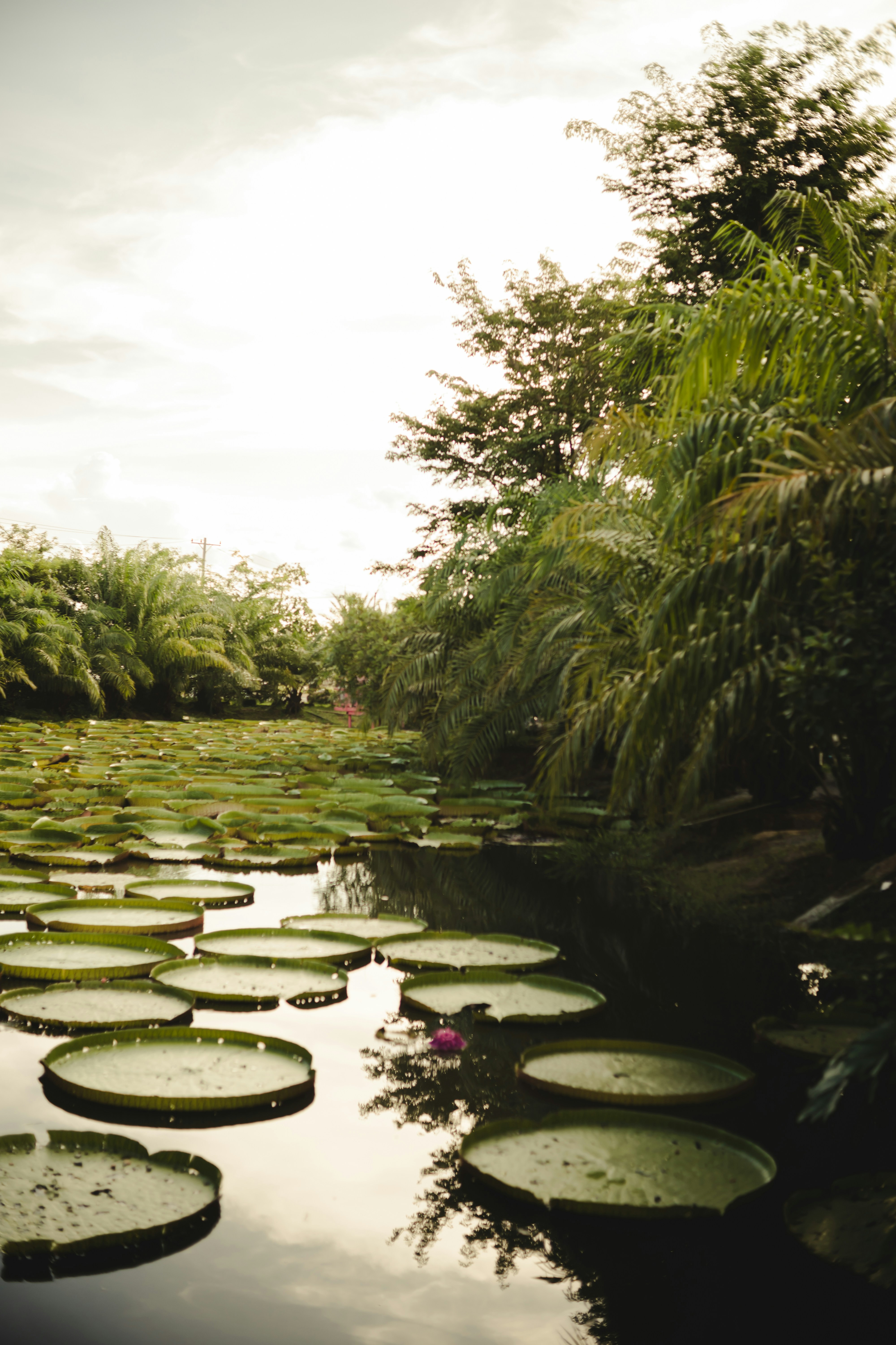 Photo by khengsomanith