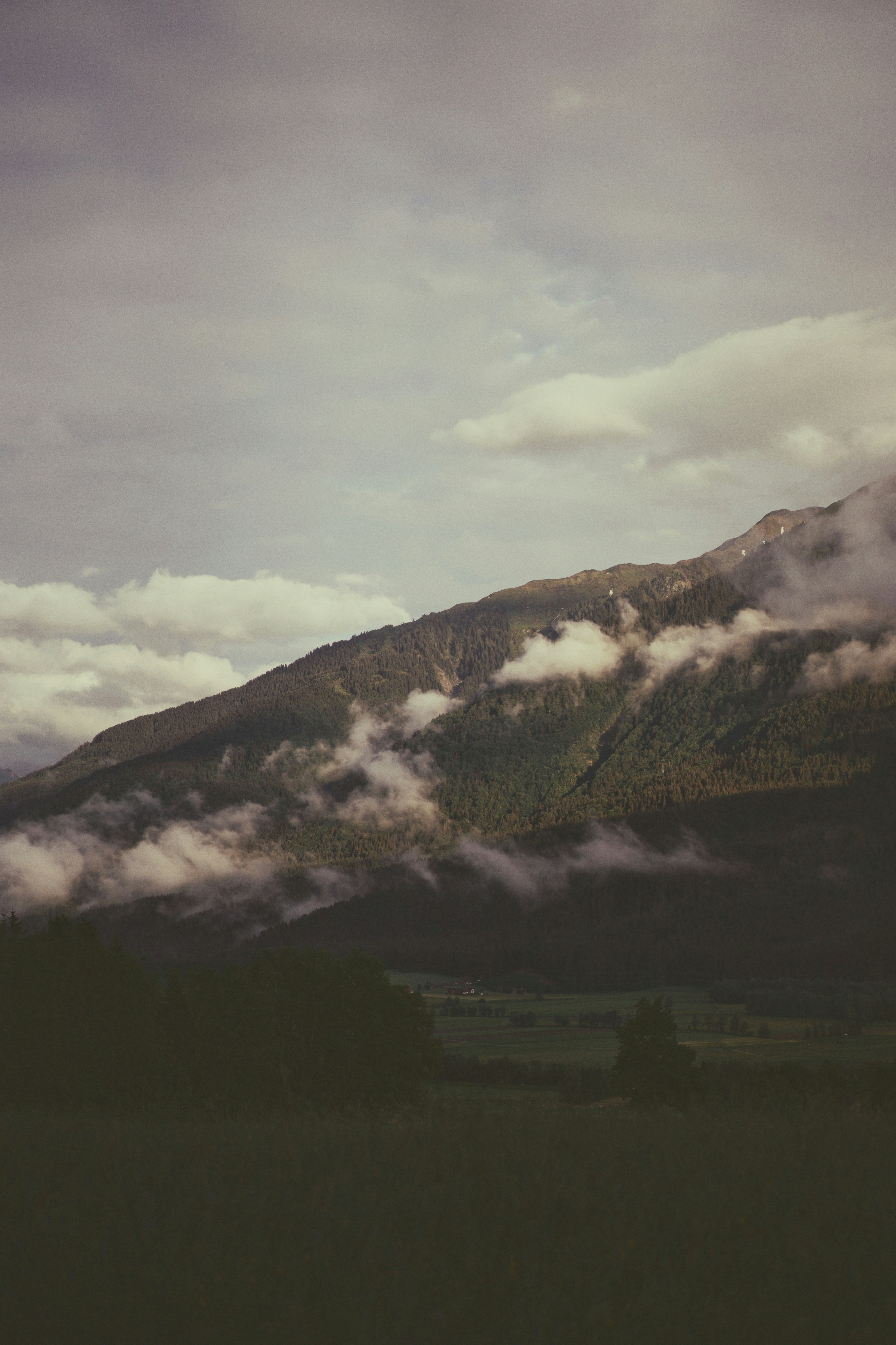 Photo by a_d_s_w