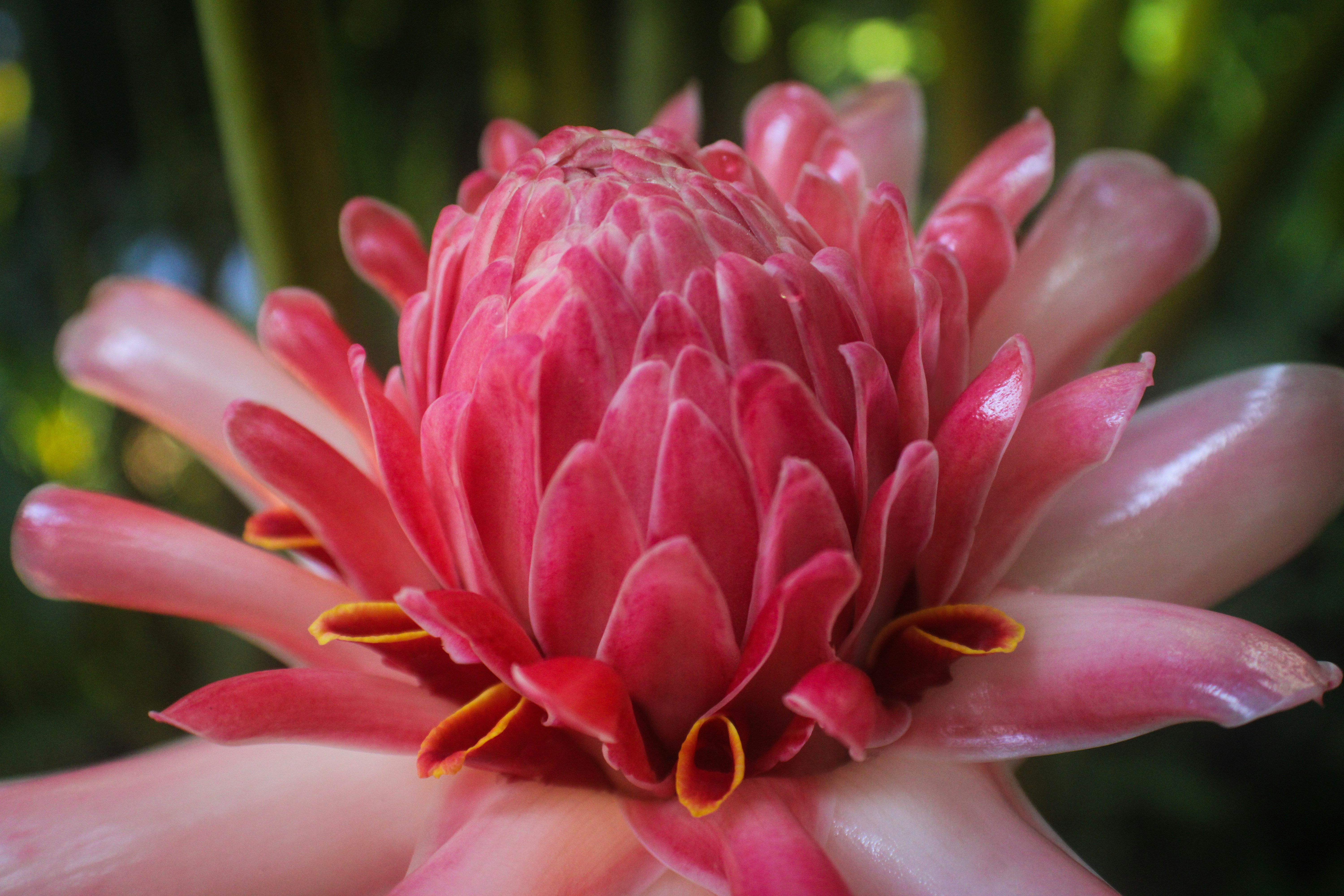 Photo by kevinxd_468